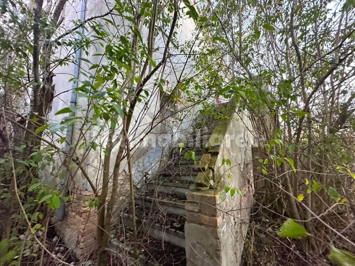 Casale Contrada Cupello, Castilenti - foto 4