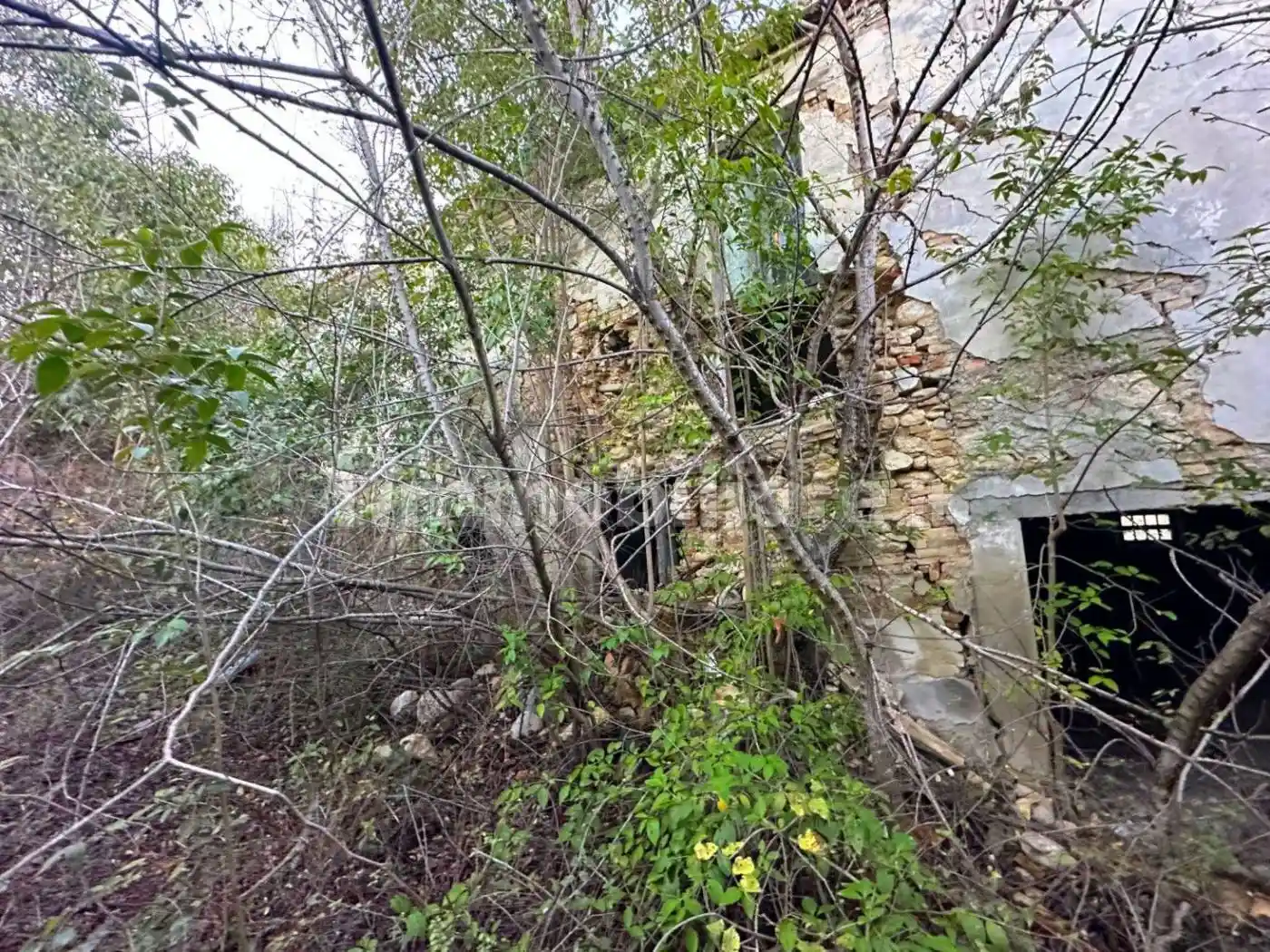 Casale Contrada Cupello, Castilenti - foto 5