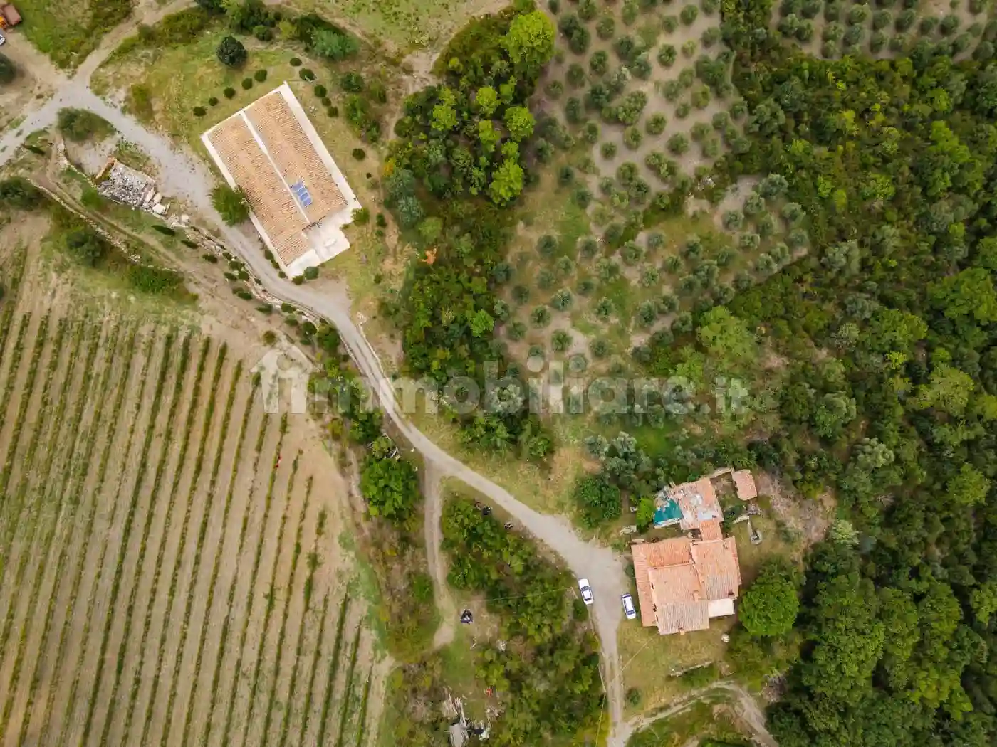 Rustico - Casale - foto 2