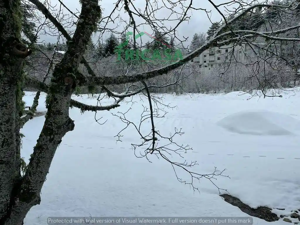 Bilocale via Pietro Mancini 19, Spezzano della Sila - foto 4