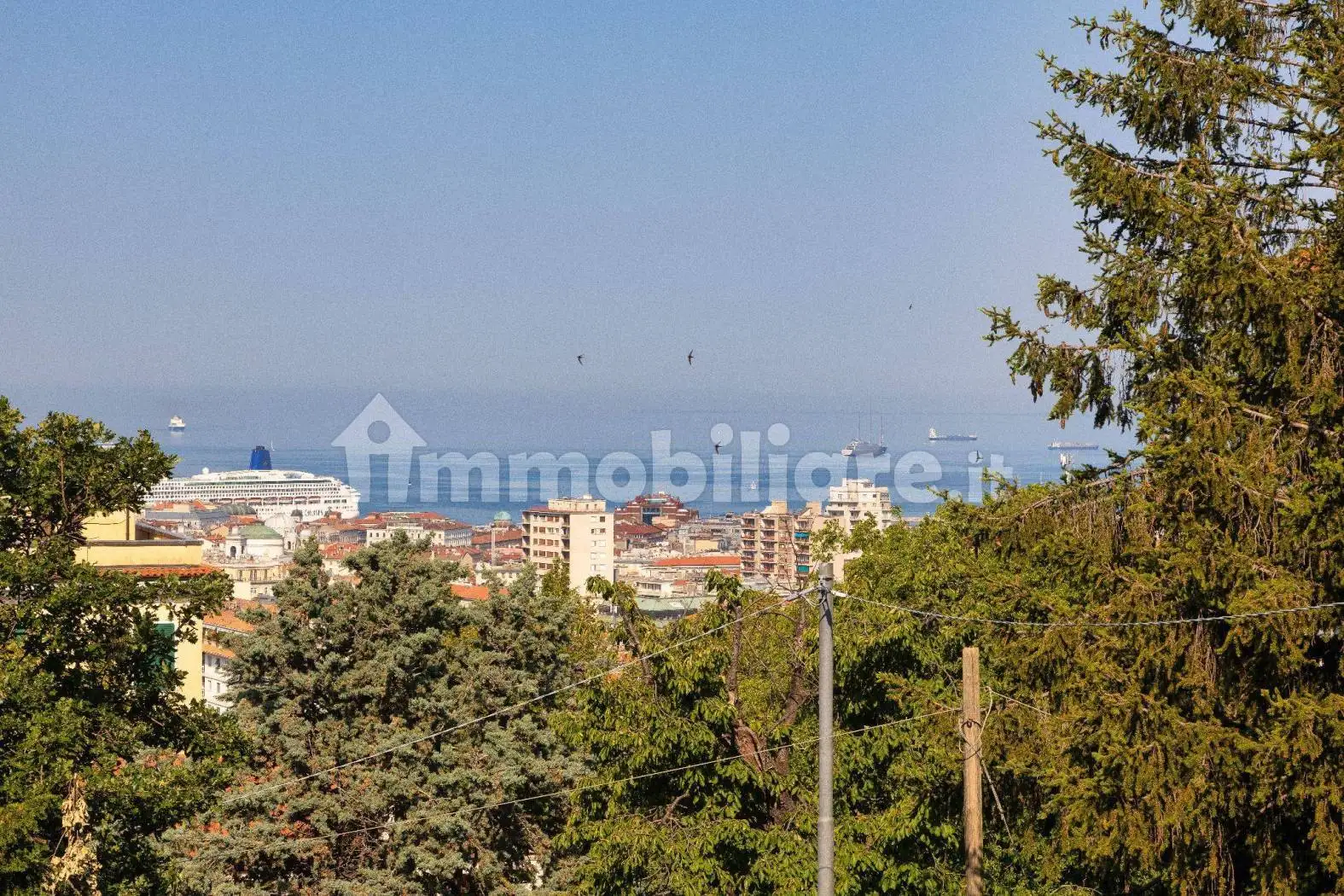 Appartamento in affitto a Trieste