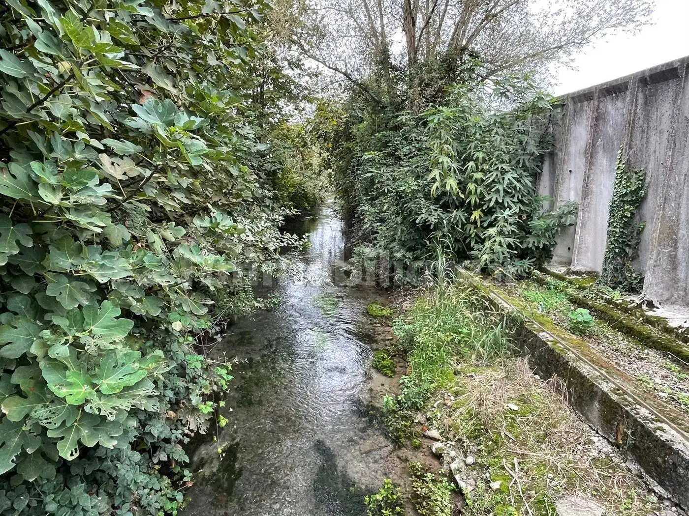 Cascina, buono stato, 1699 m², Camisano - foto 3