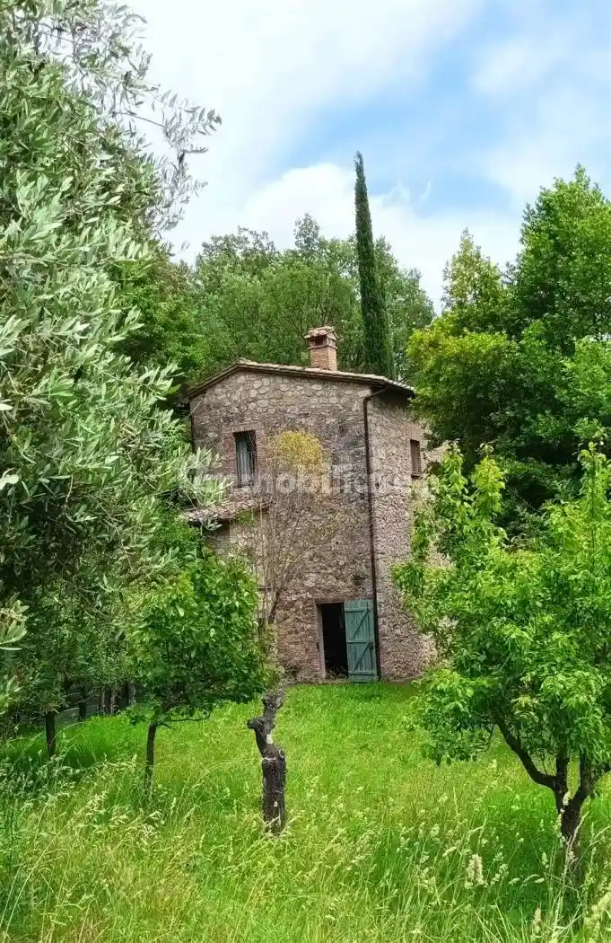 Rustico - Casale in vendita a Cetona