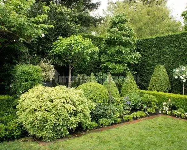 Villa in affitto a San Giuliano Milanese