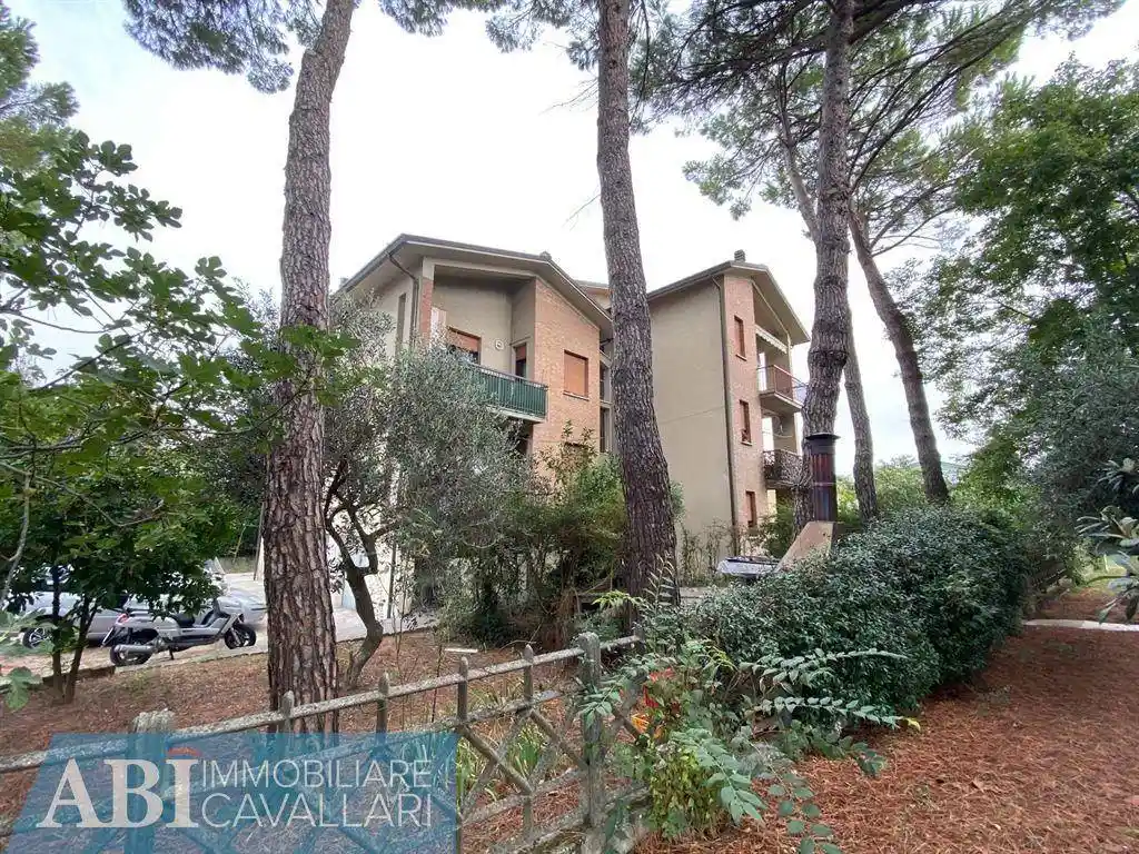 Appartamento in vendita a Bagnacavallo