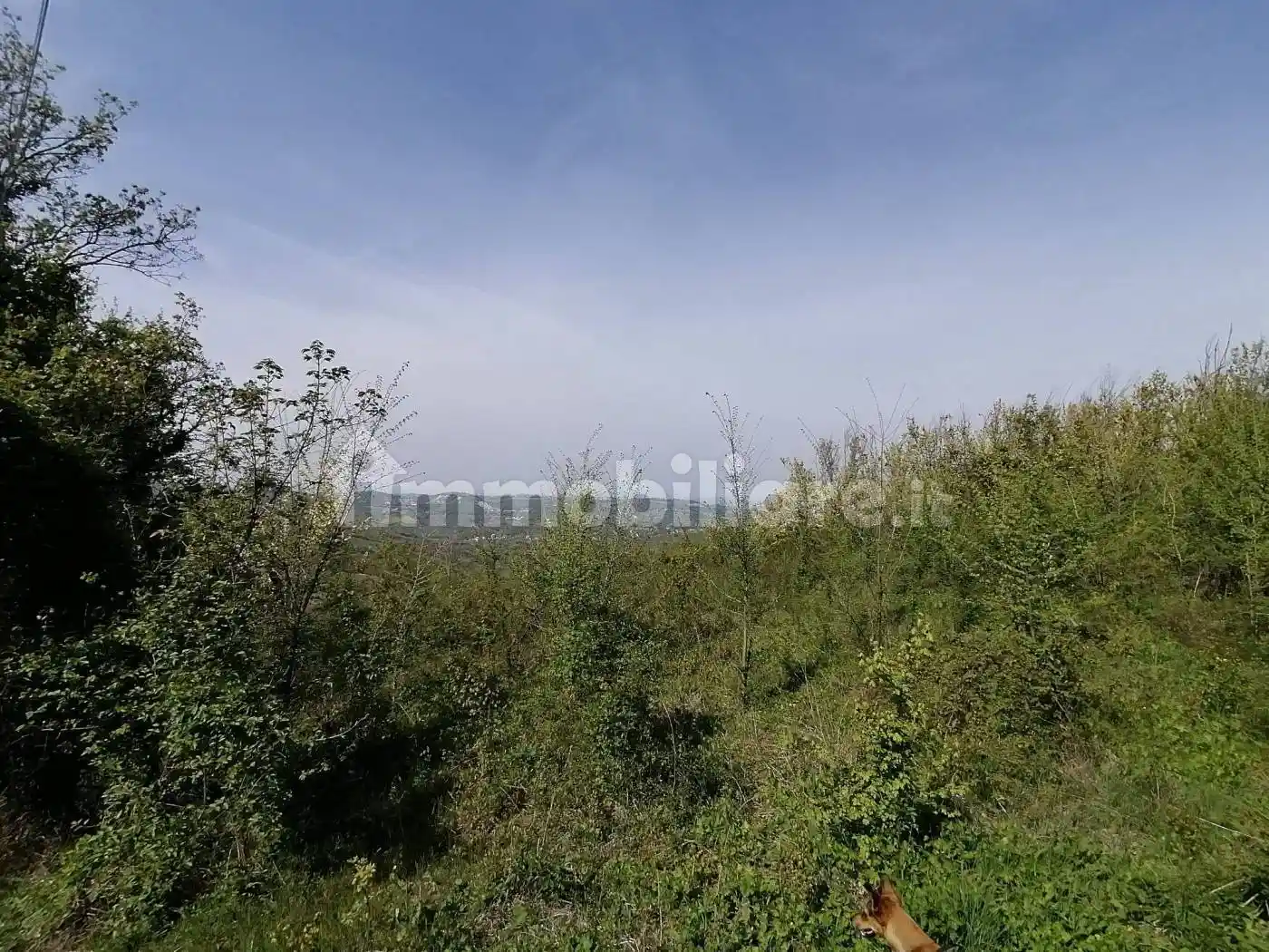 Palazzo - Edificio in vendita a Guiglia