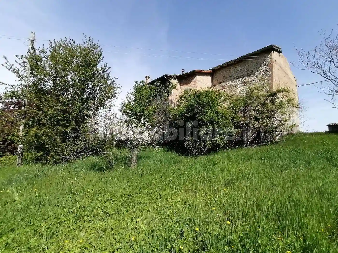 Palazzo - Edificio - foto 4