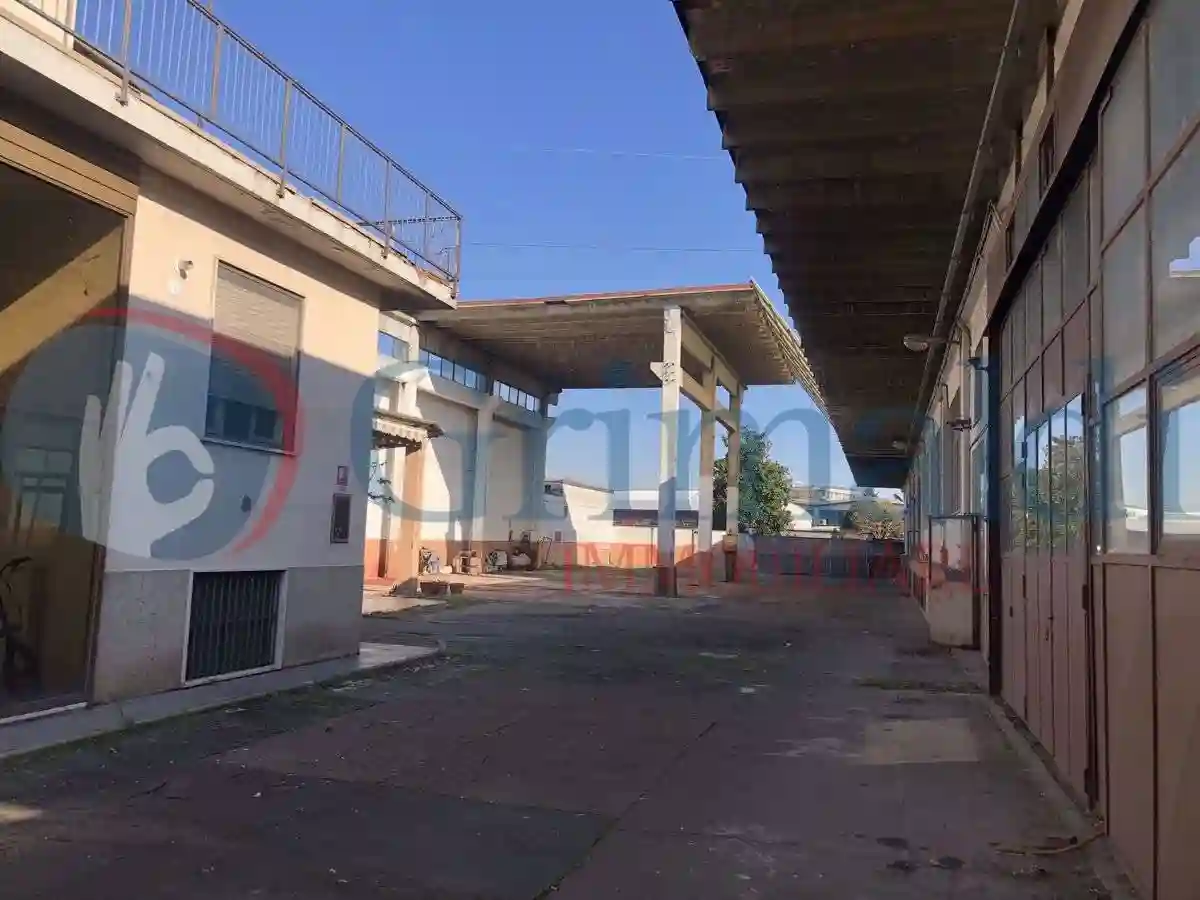 Palazzo - Edificio - foto 2