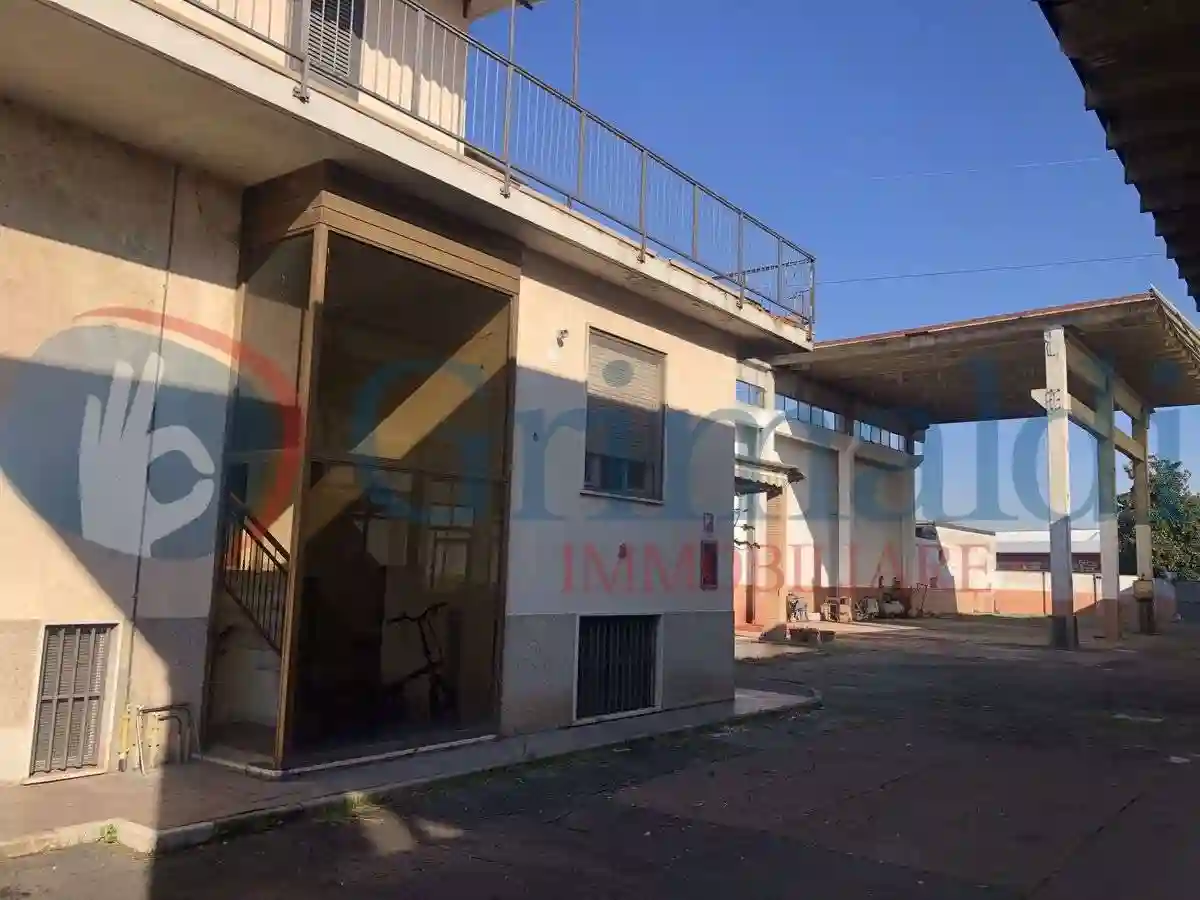 Palazzo - Edificio - foto 3