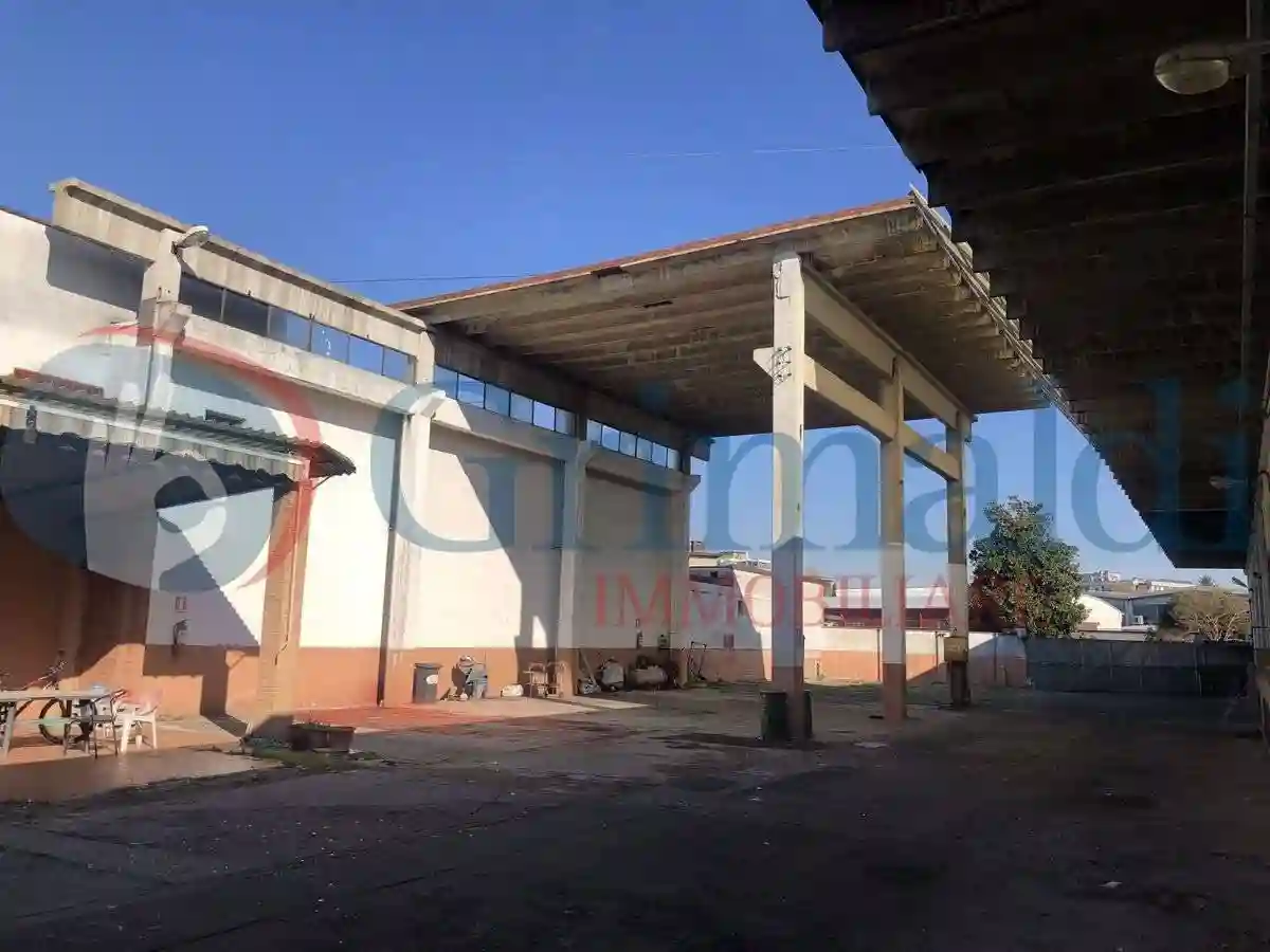 Palazzo - Edificio - foto 5