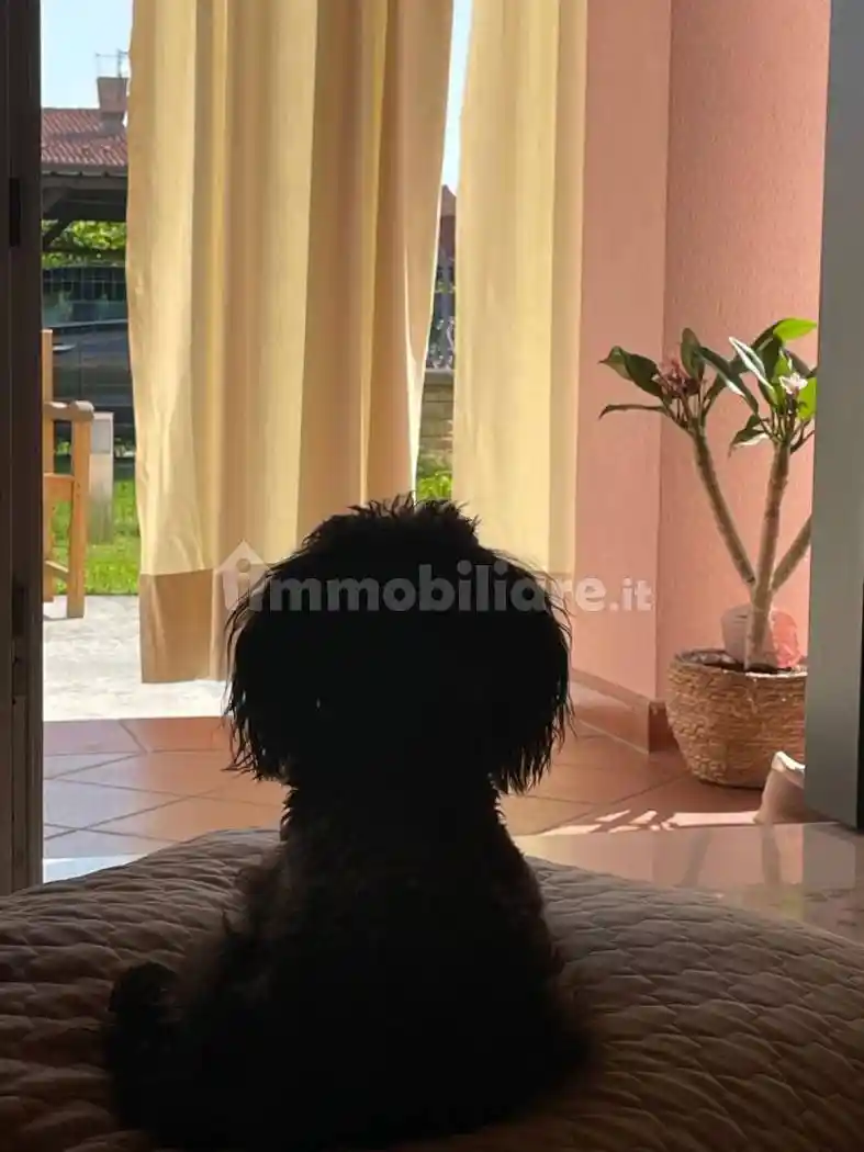 Villa unifamiliare San Pietro in Volta 156C, San Pietro in Volta, Venezia - foto 4