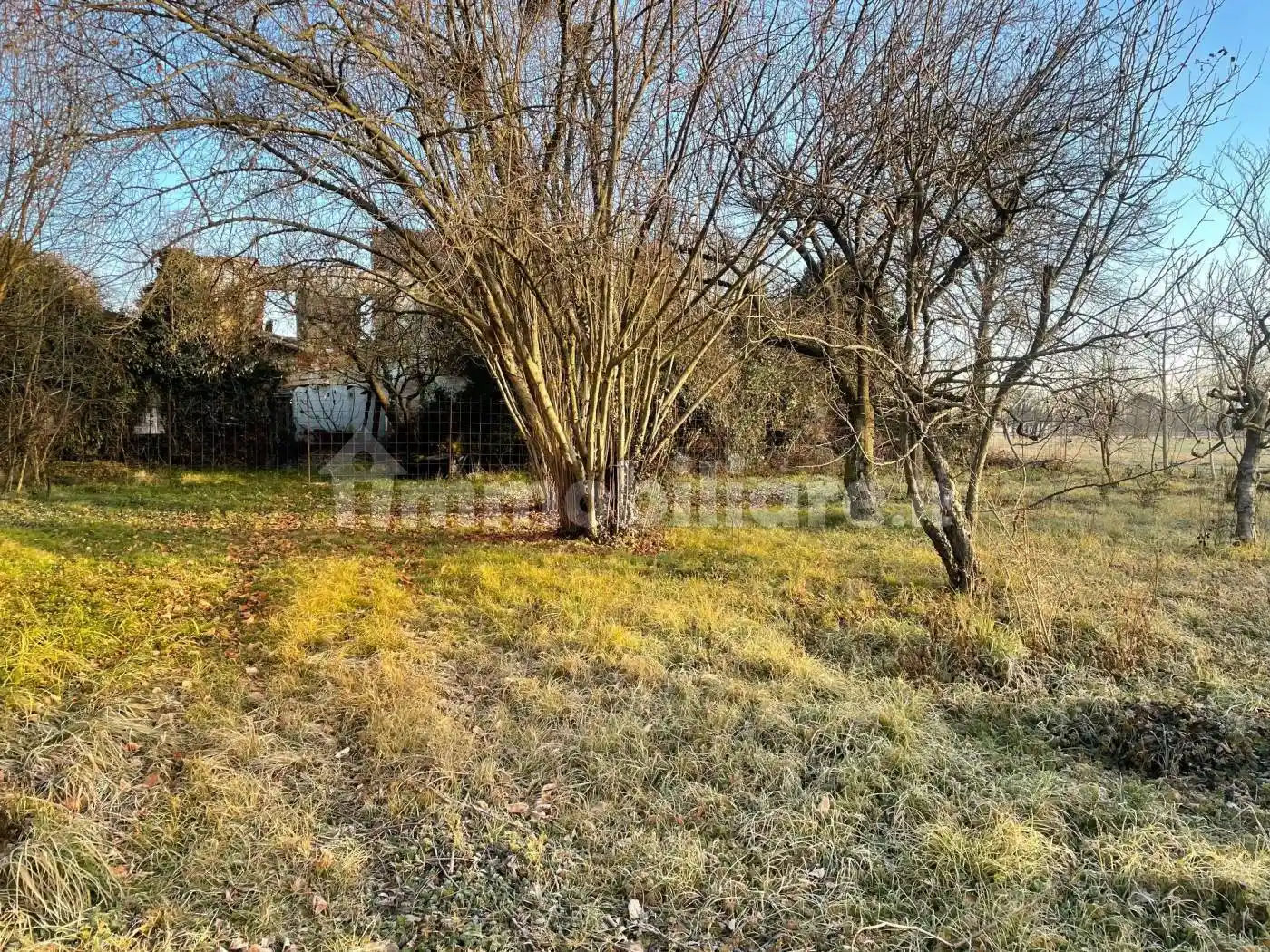 Rustico - Casale in vendita a Trebaseleghe