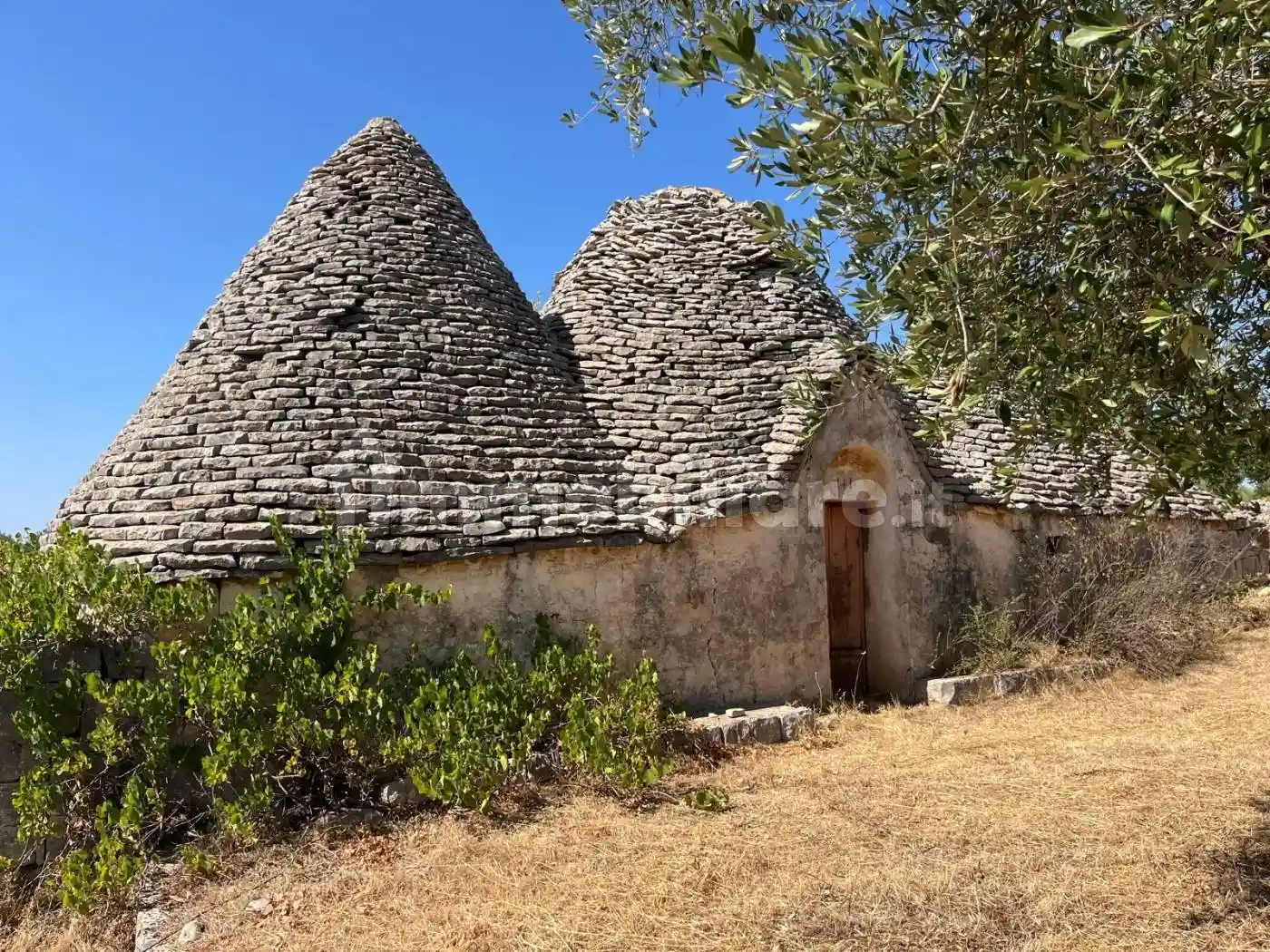 Rustico - Casale in vendita a Castellana Grotte