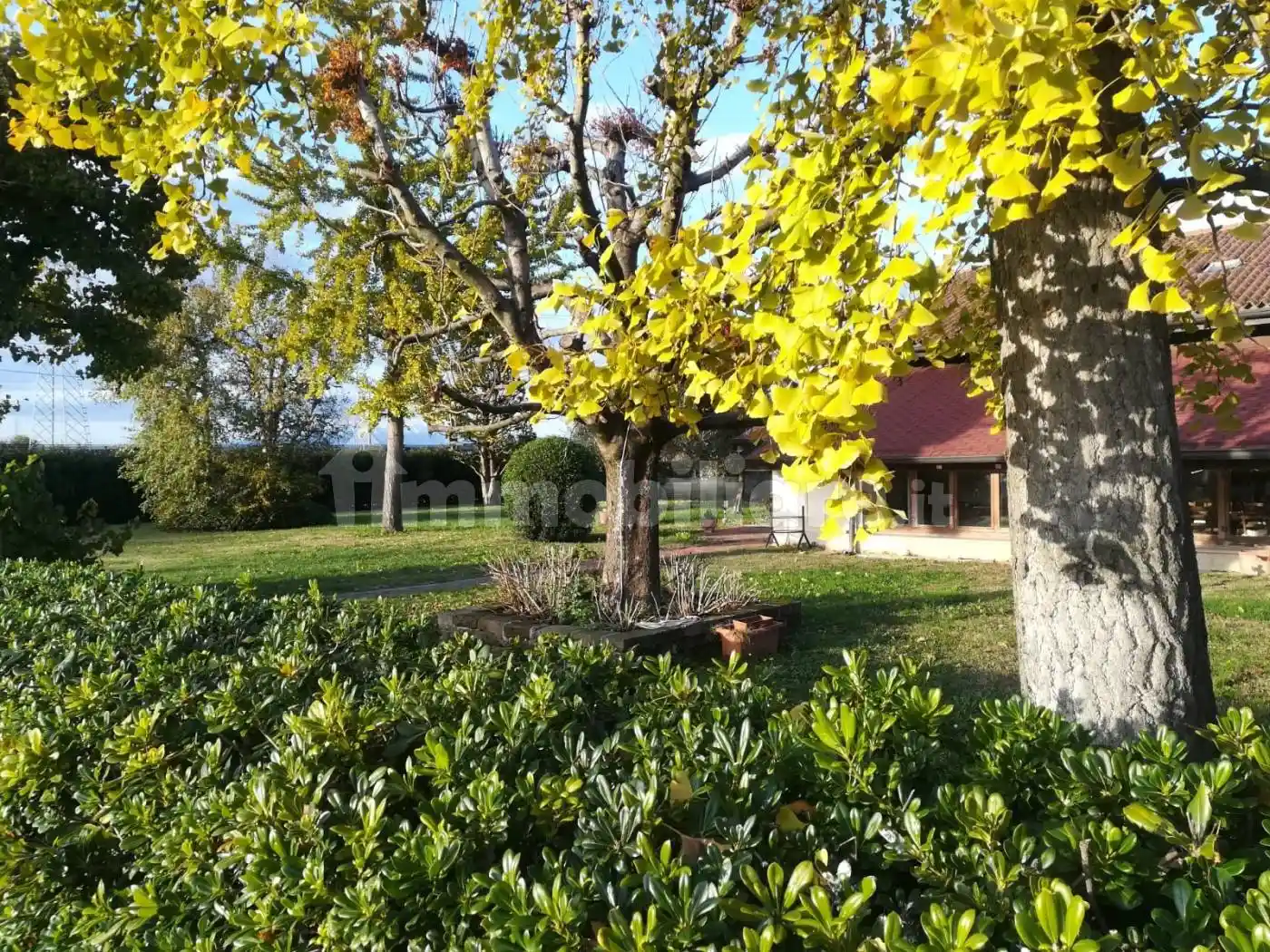 Villa in vendita a Zevio