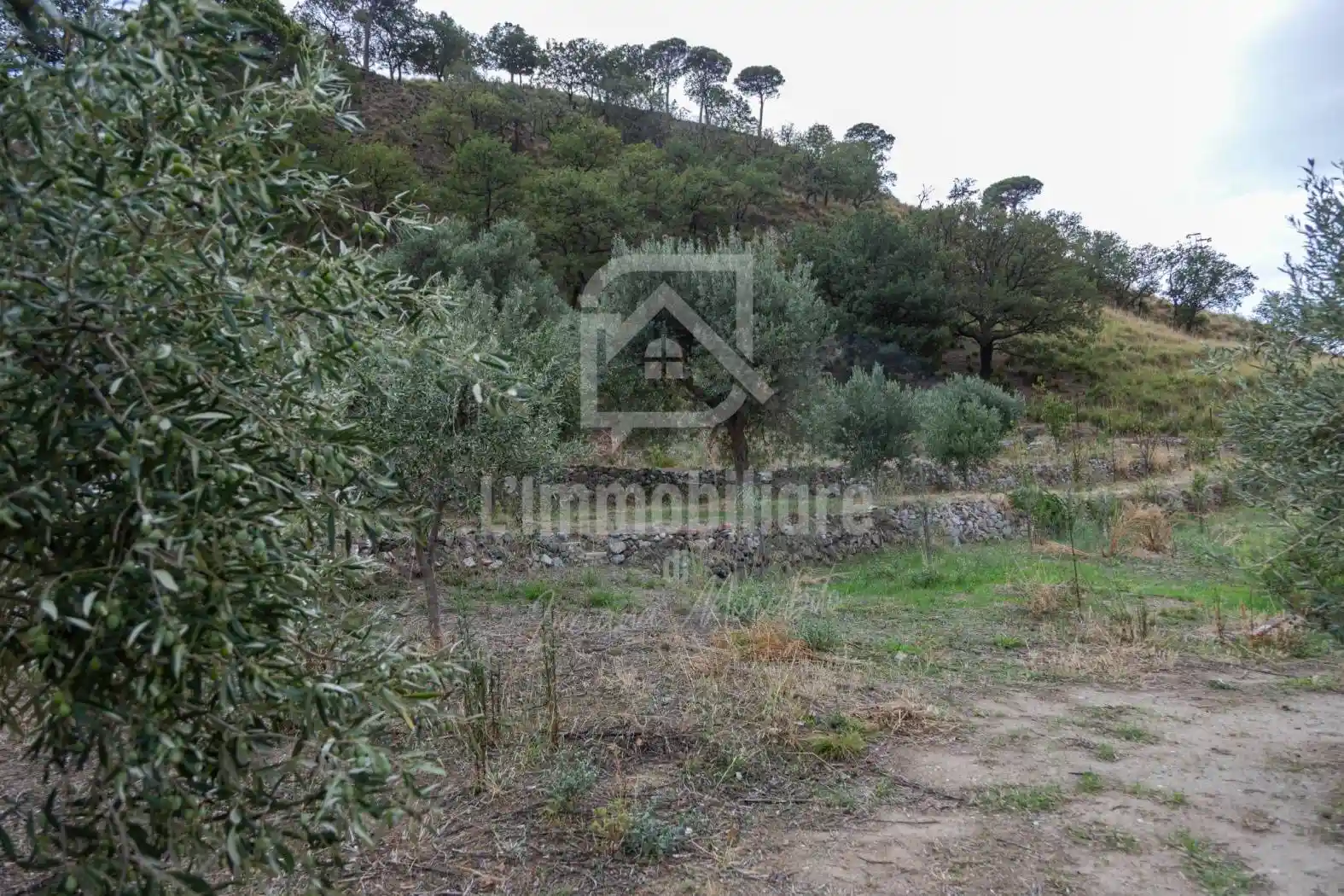 Villa unifamiliare Contrada Ortera in Santa Margherita, Santa Margherita - Santo Stefano, Messina - foto 4