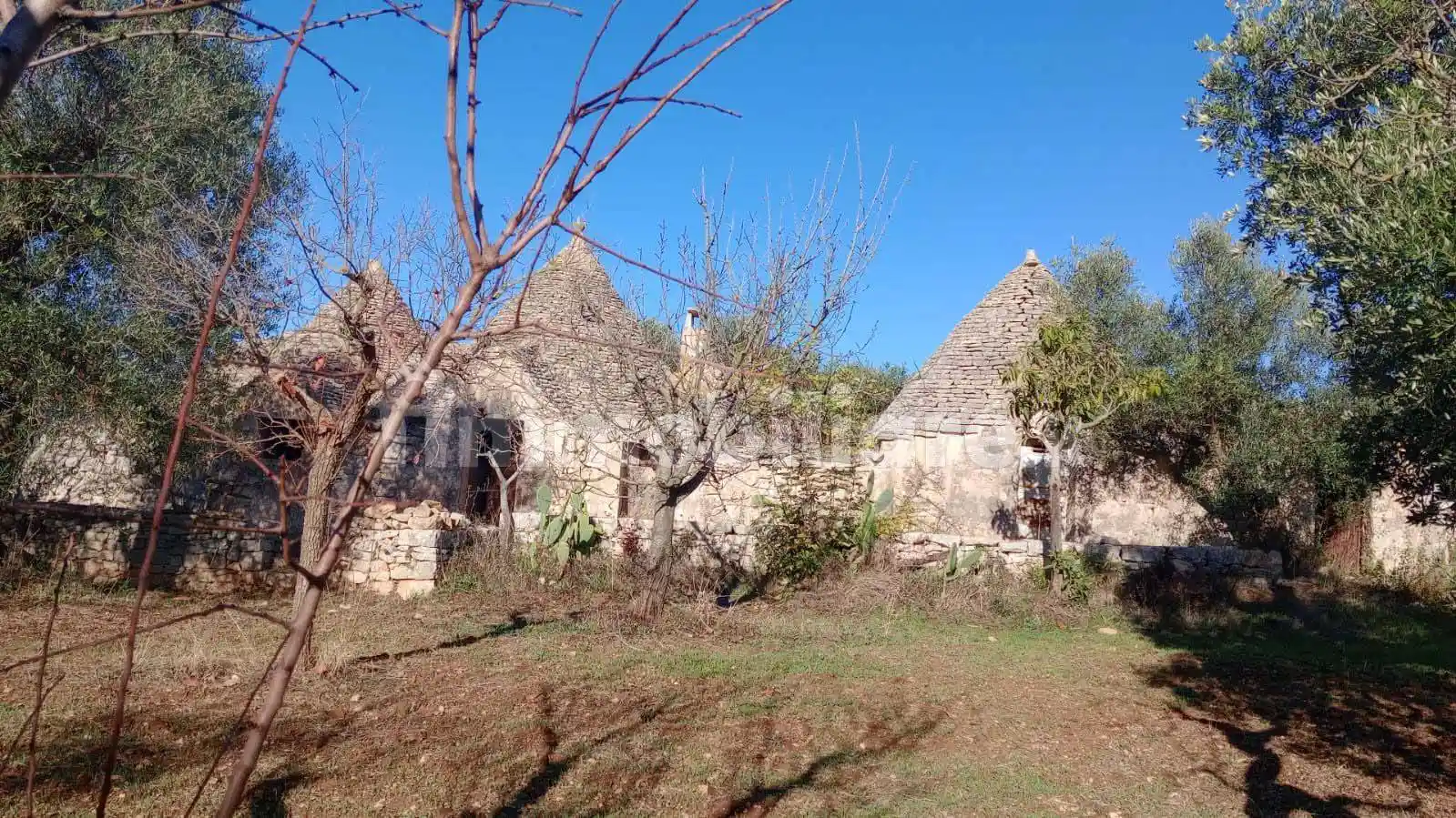 Rustico - Casale in vendita a Castellana Grotte