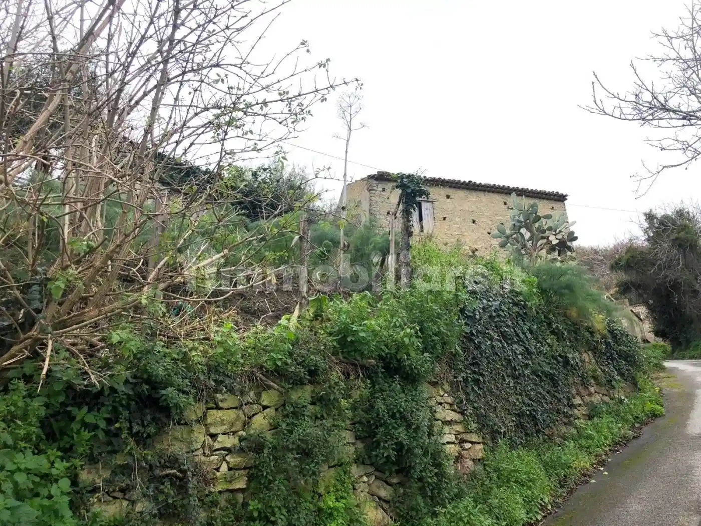 Casale via Caveria, Basicò - foto 3