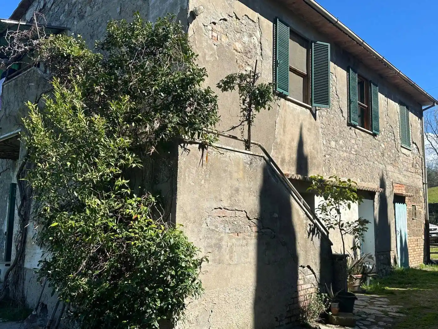 Rustico - Casale in vendita a Scansano