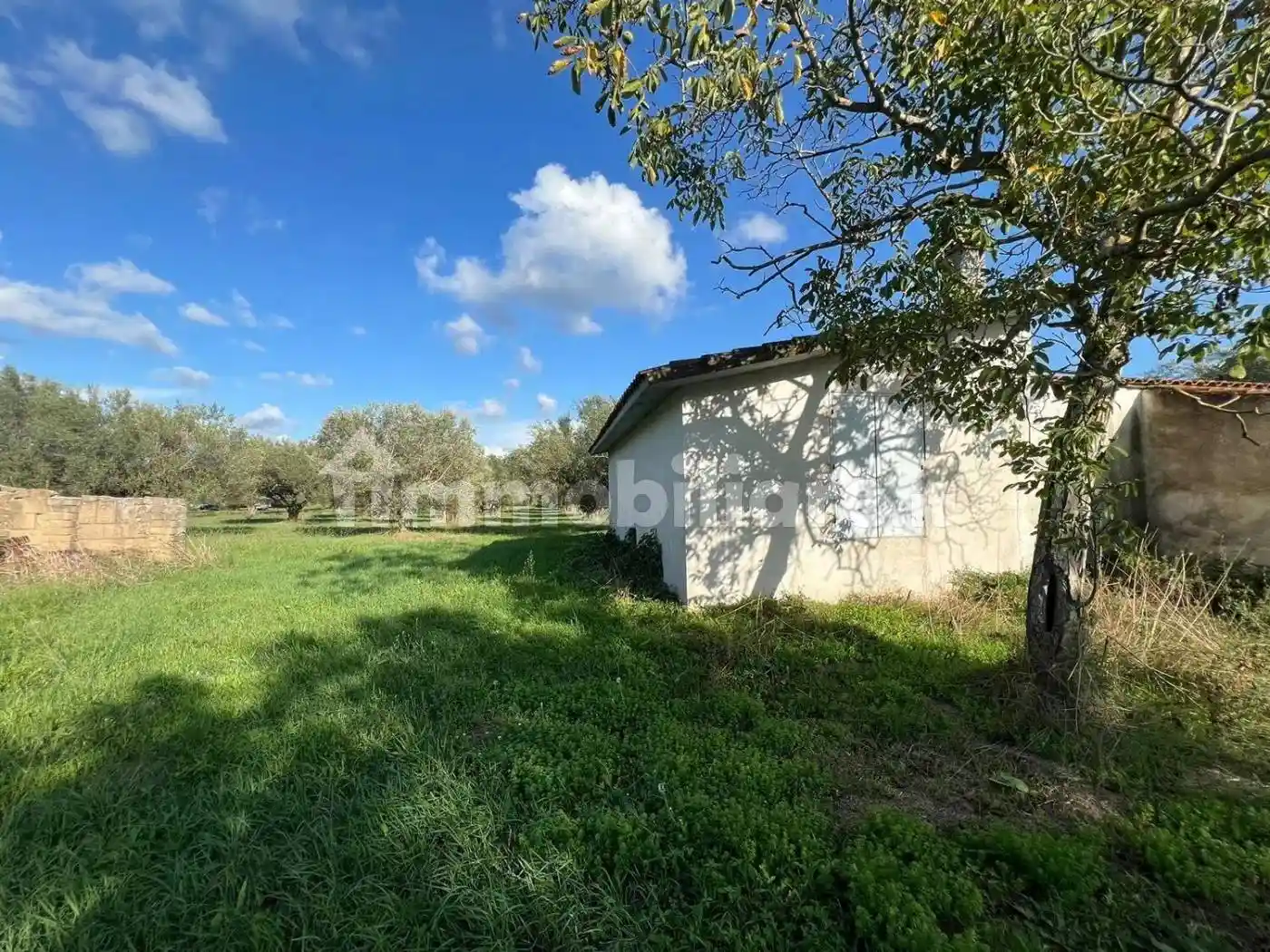Rustico - Casale in vendita a Tuscania