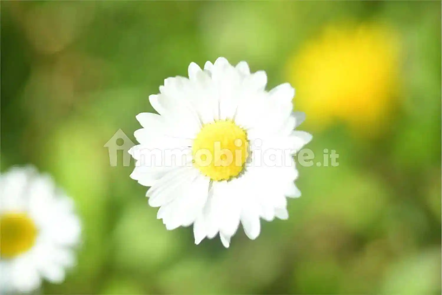 Villa in vendita a Reggio Emilia