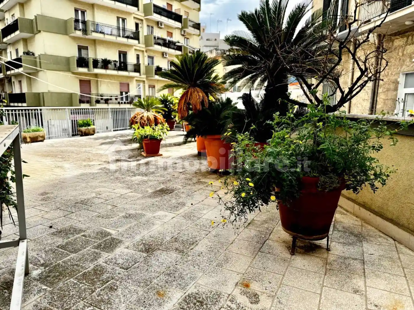 Appartamento in vendita a Bisceglie