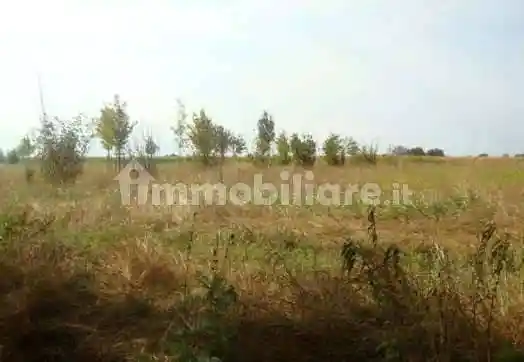 Villa unifamiliare via Bertolda, Contrapò - Villanova, Ferrara - foto 3