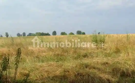 Villa unifamiliare via Bertolda, Contrapò - Villanova, Ferrara - foto 5