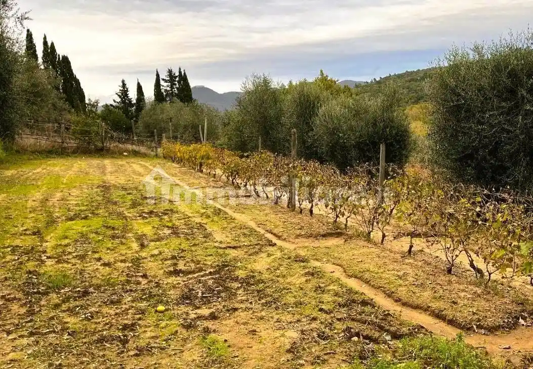 Rustico - Casale in vendita a Castagneto Carducci
