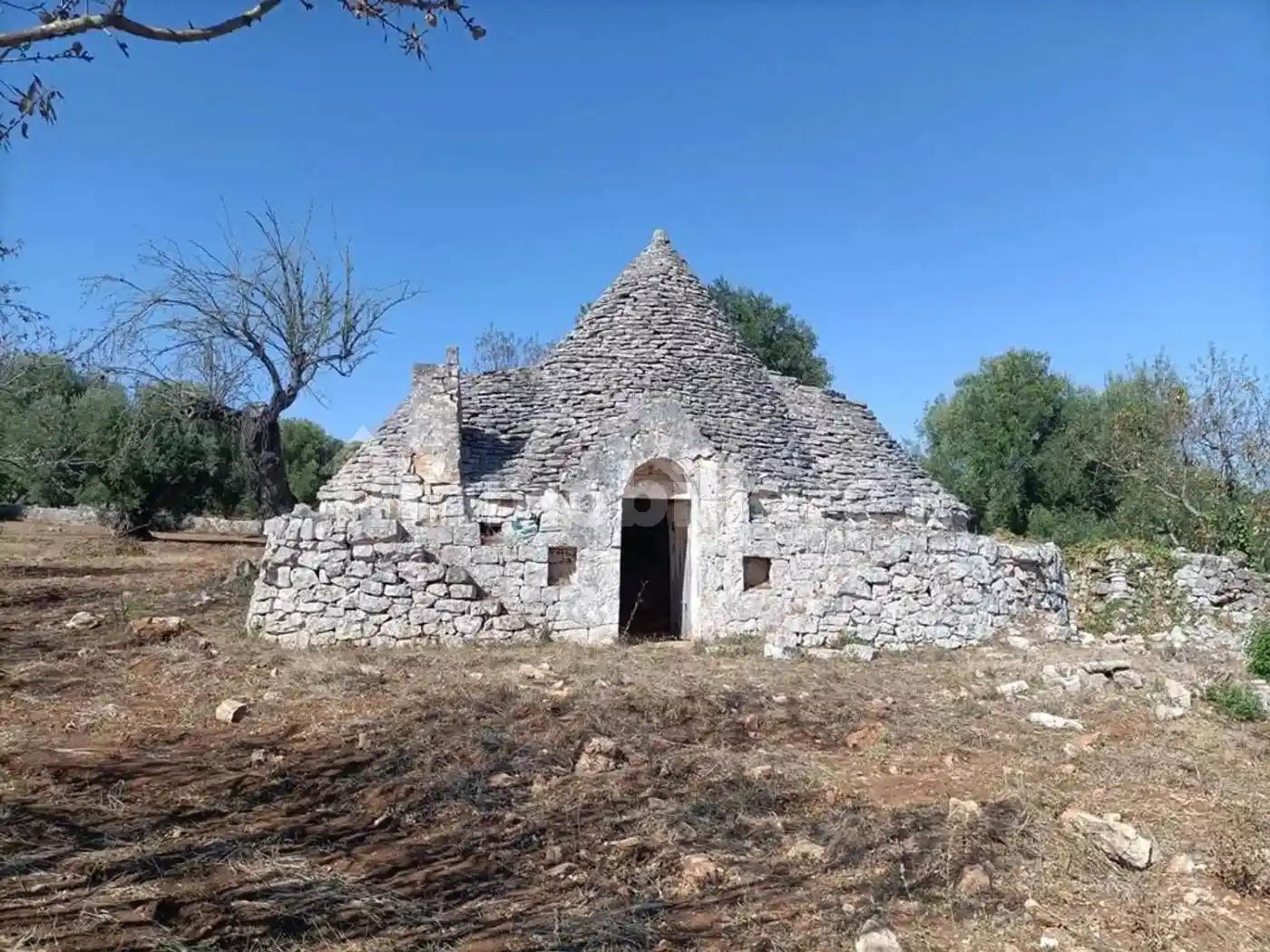 Rustico - Casale in vendita a Ceglie Messapica