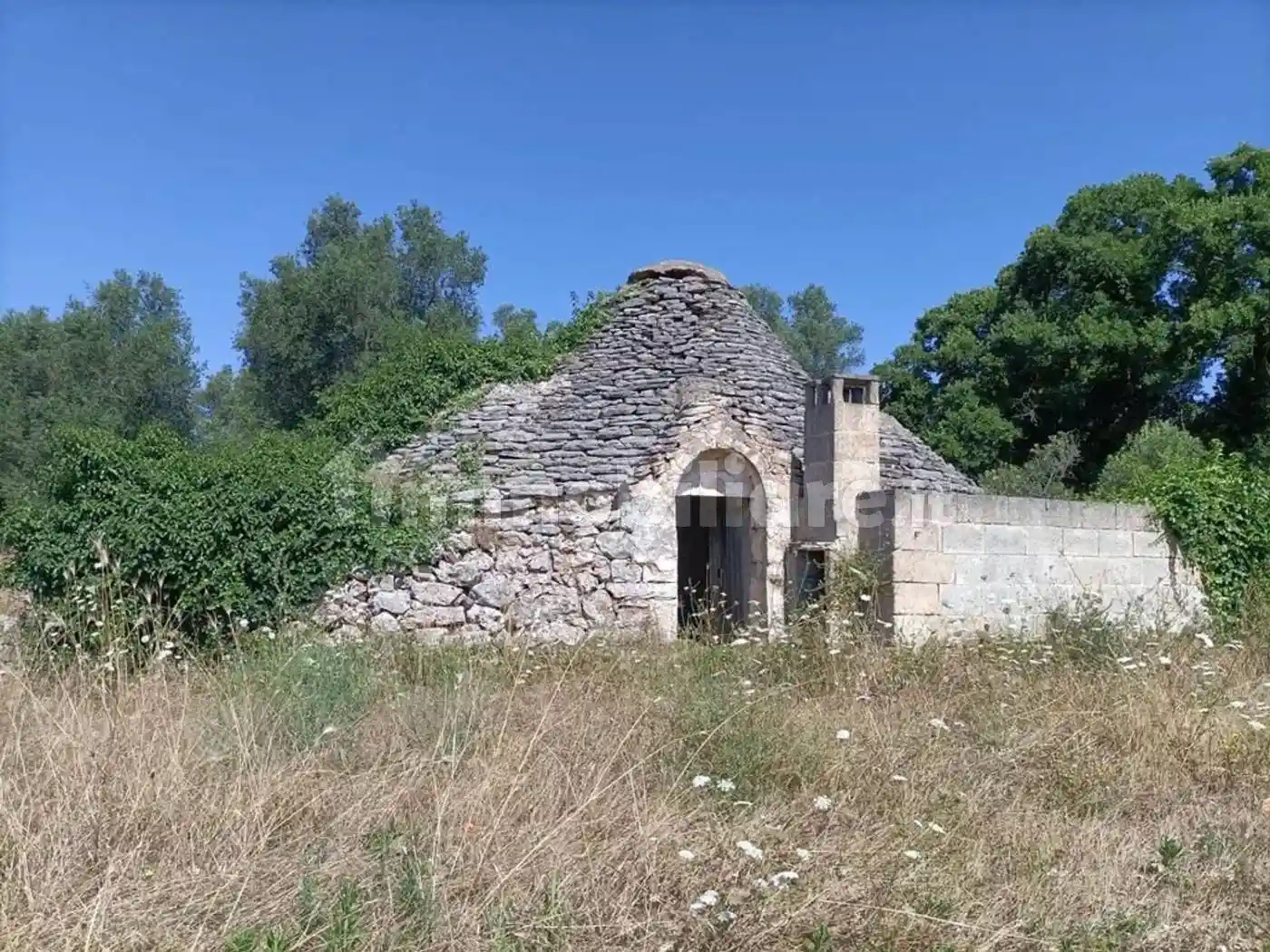 Rustico - Casale in vendita a Ceglie Messapica