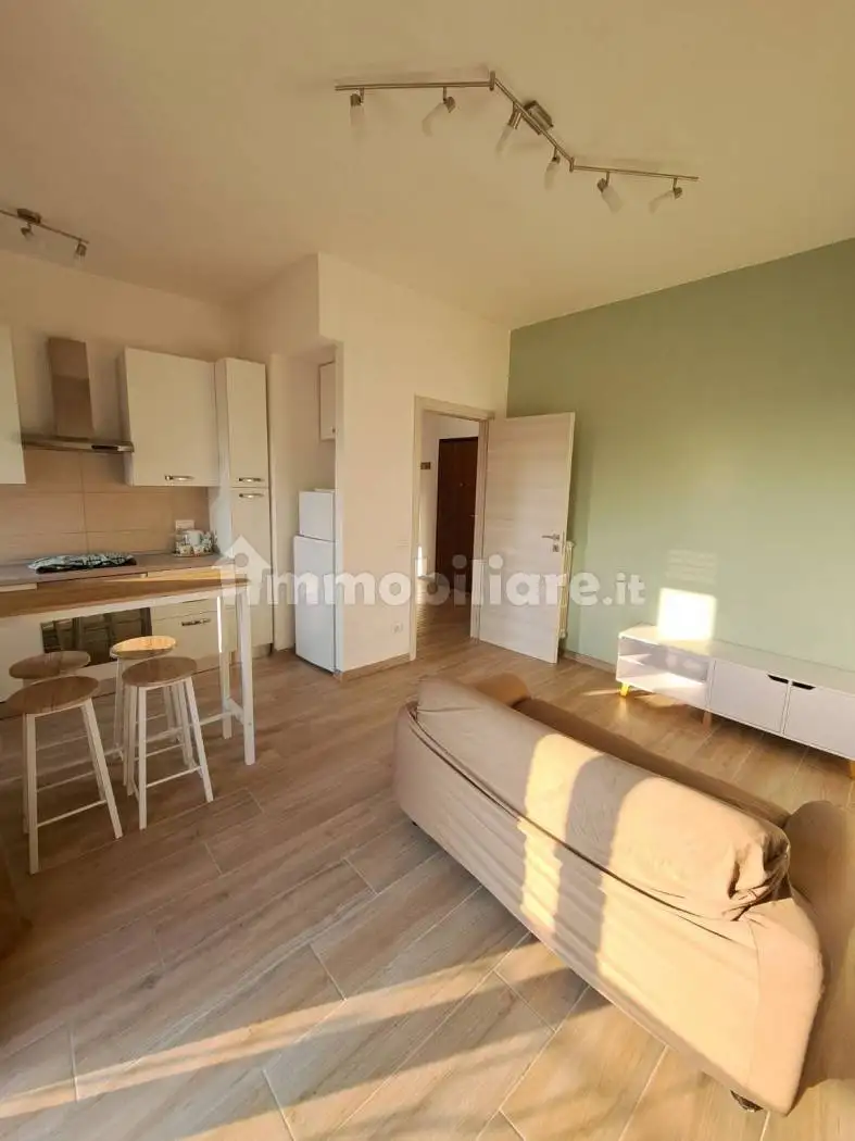 Appartamento in affitto a Trino