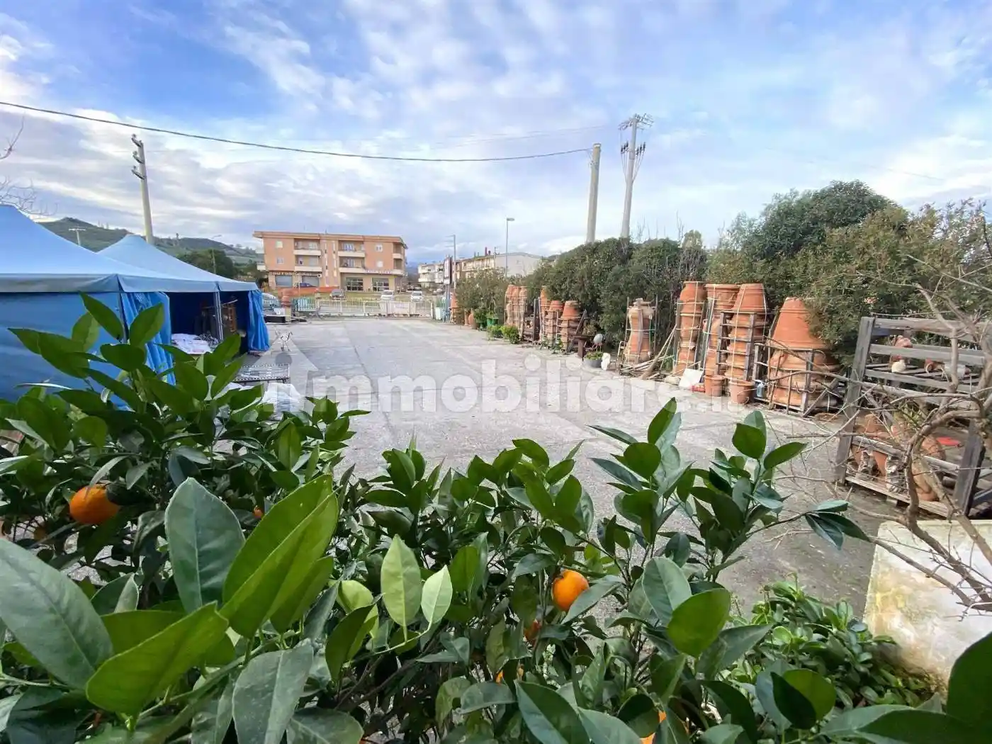 Palazzo - Edificio in Vendita - foto 3