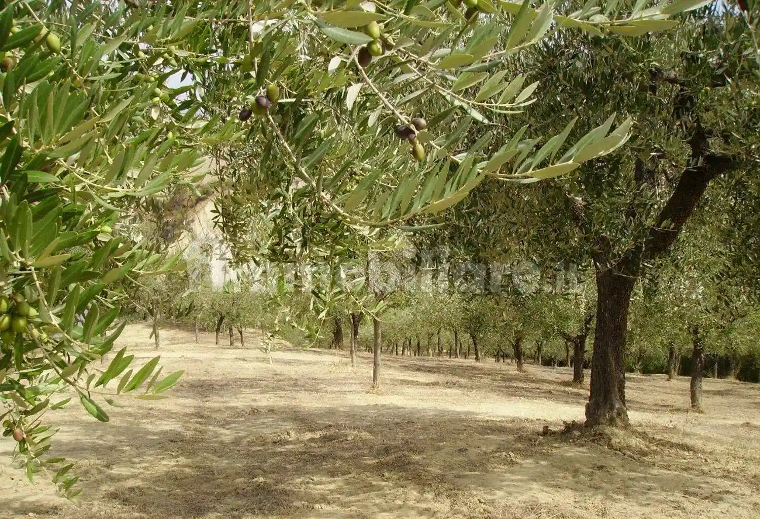 Villa unifamiliare via Per Popoli San C., Brecciarola, Chieti - foto 5