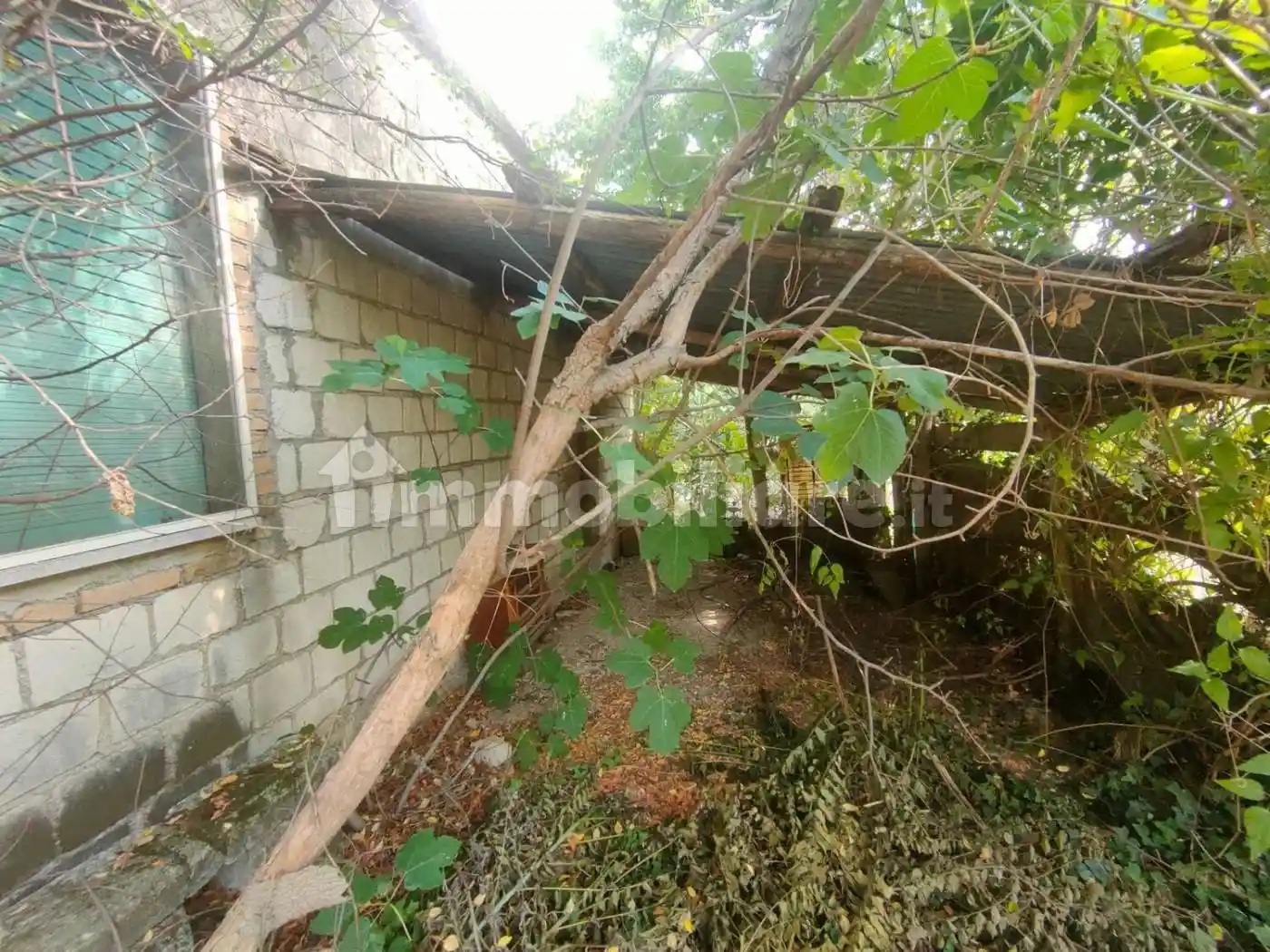 Rustico via Coste Delle Plaie, 15, Alanno - foto 5