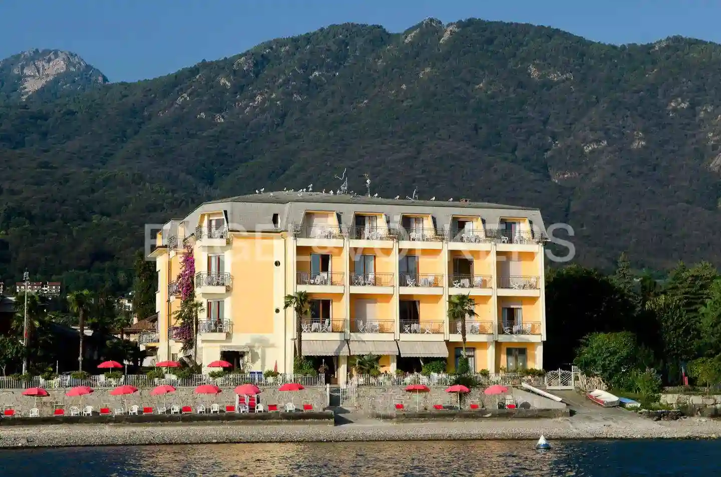 Palazzo - Edificio - foto 2