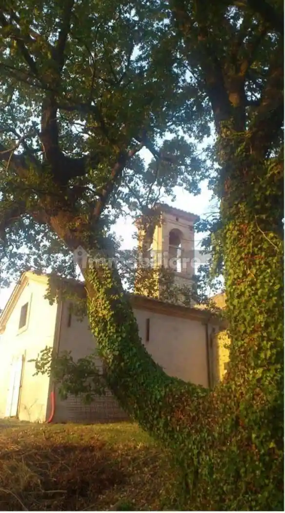 Rustico - Casale in vendita a Torgiano