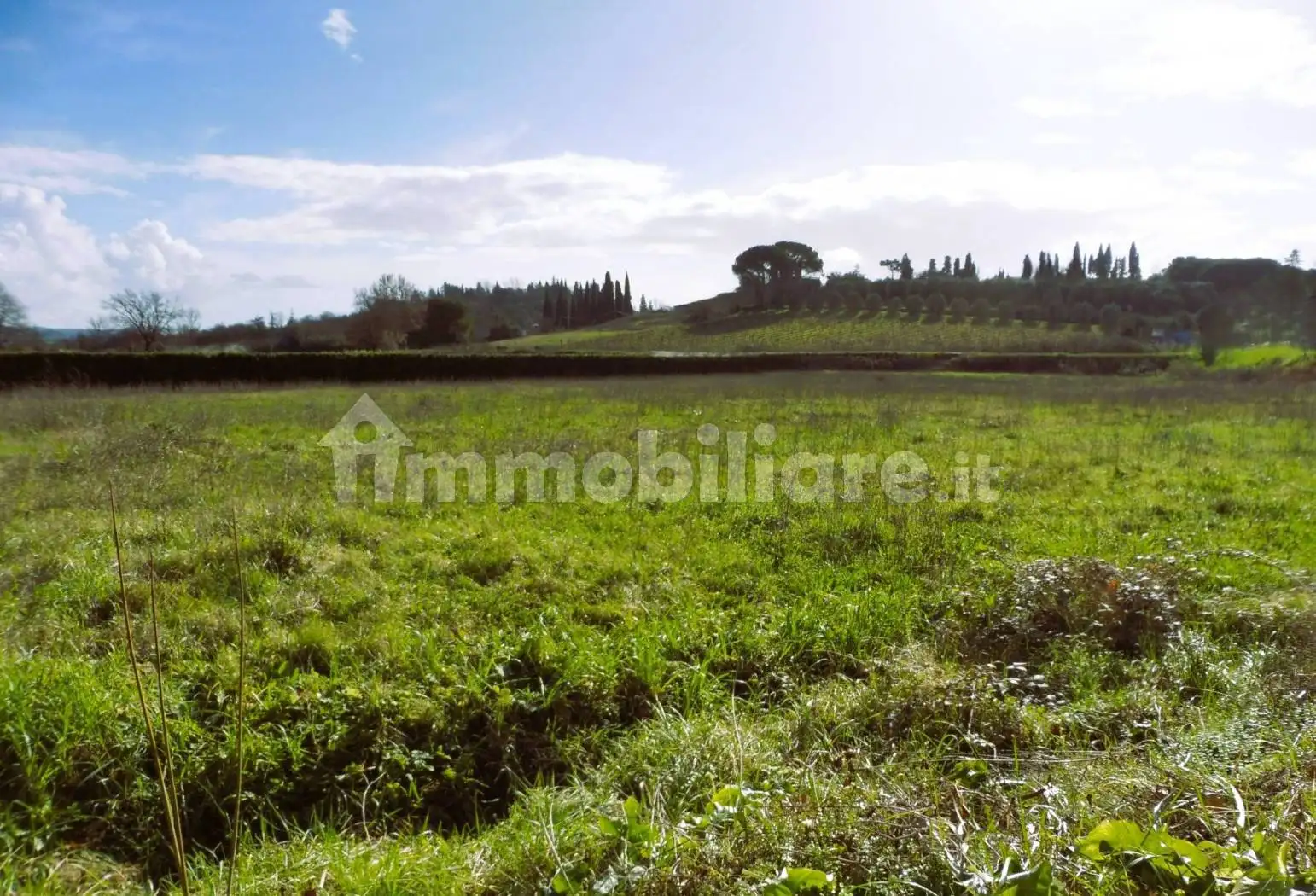 Appartamento in vendita a Empoli