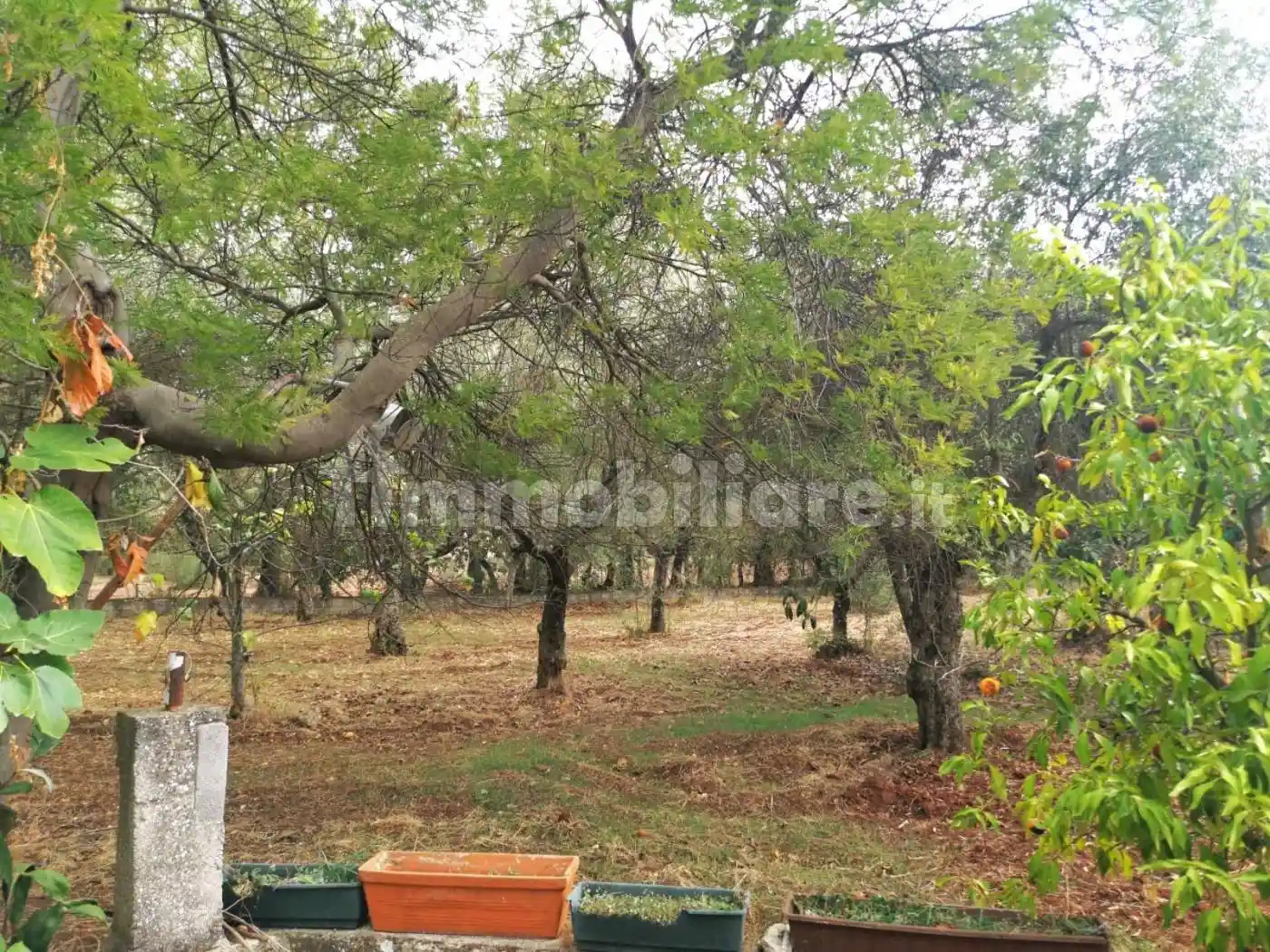 Villa unifamiliare Contrada Palombari, Castrovillari - foto 3