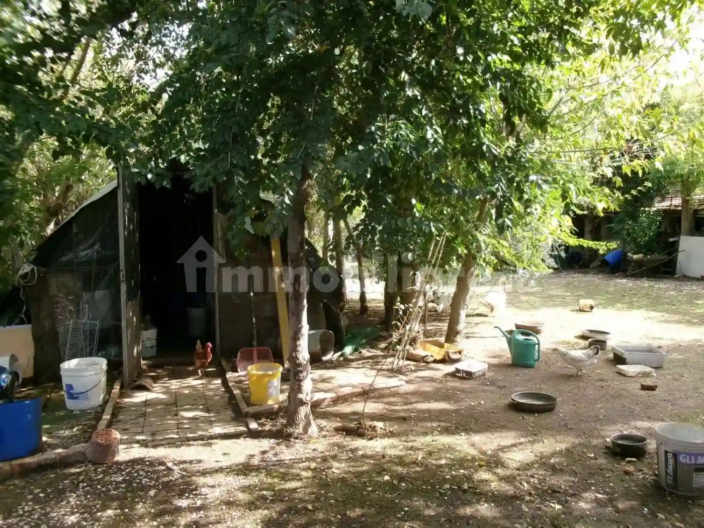 Rustico - Casale - foto 4