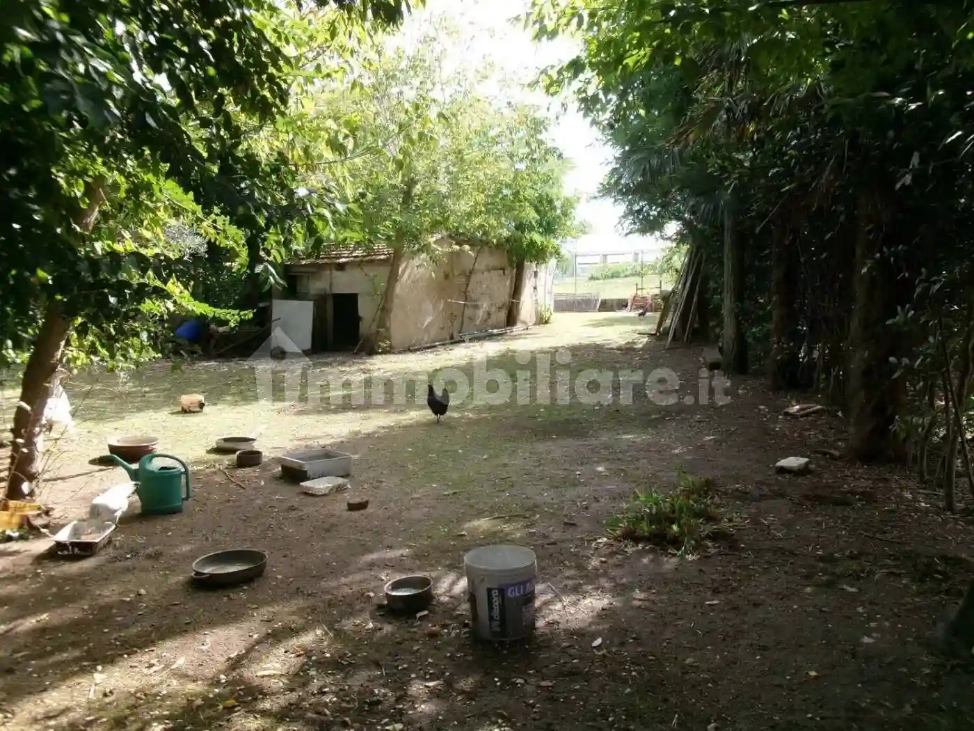 Rustico - Casale - foto 5