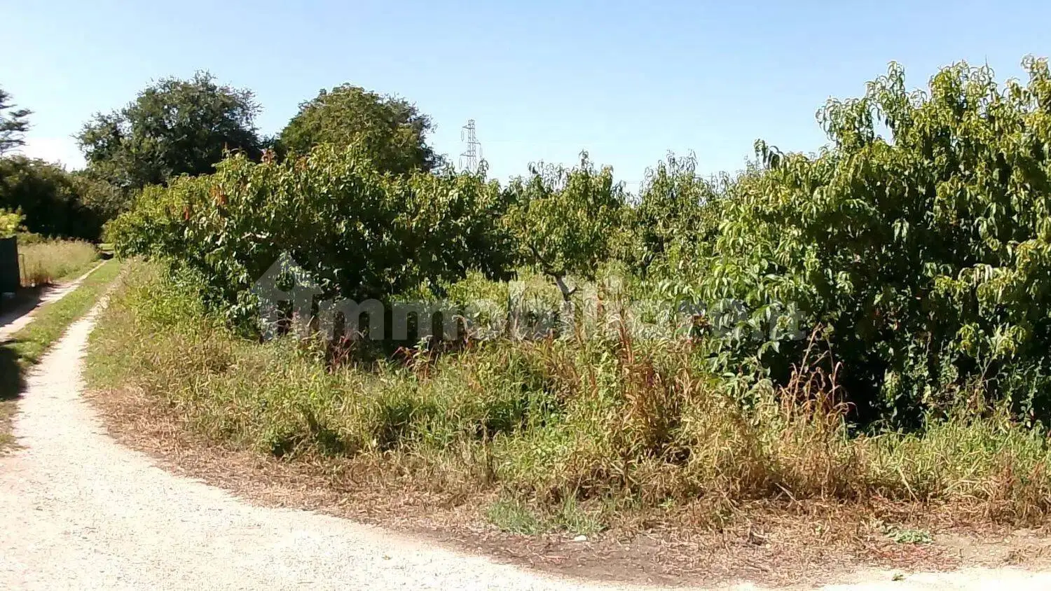 Rustico - Casale in vendita a Jesi