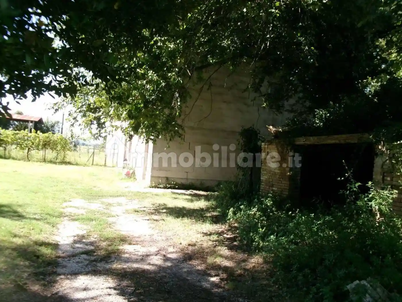 Cascina via Coppetella San C., Coppetella, Jesi - foto 4