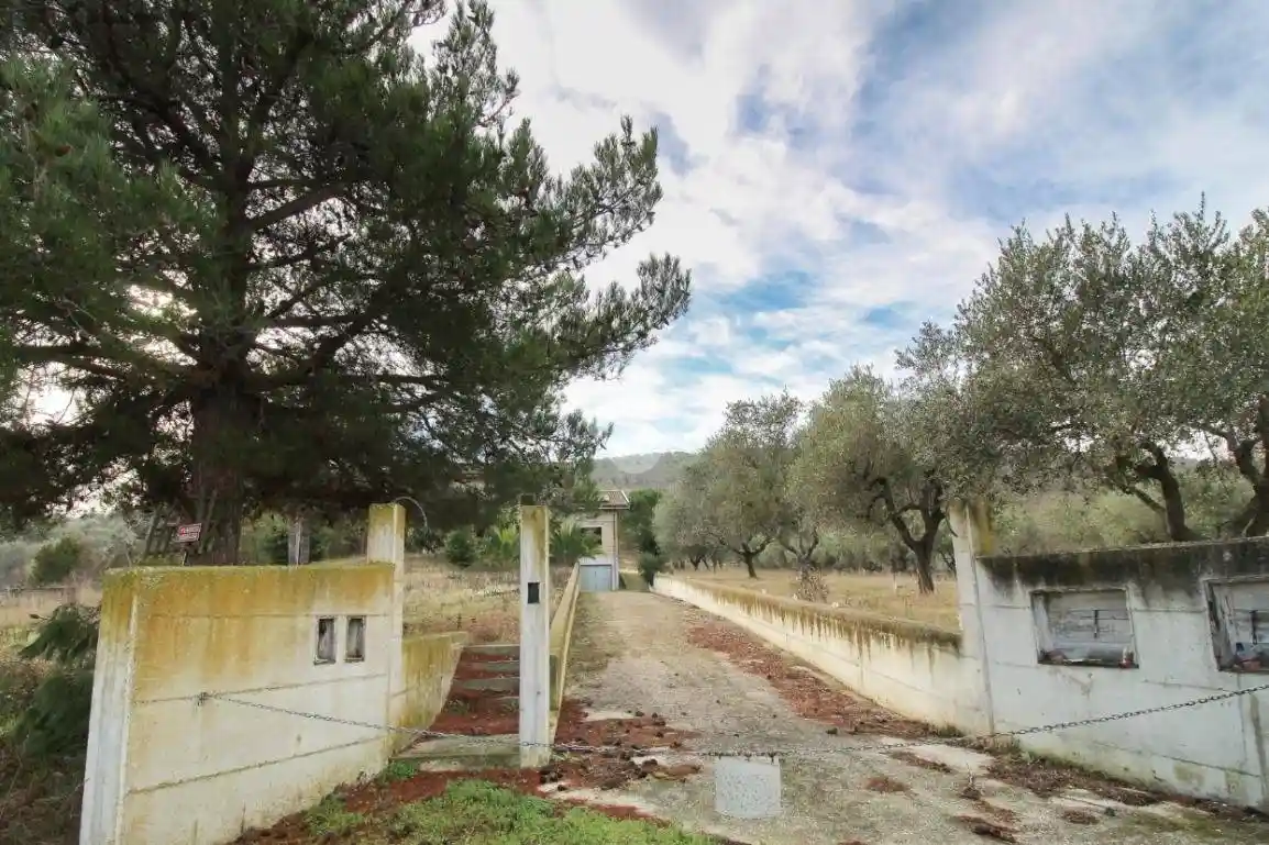 Terratetto unifamiliare via Po, Collecorvino - foto 2