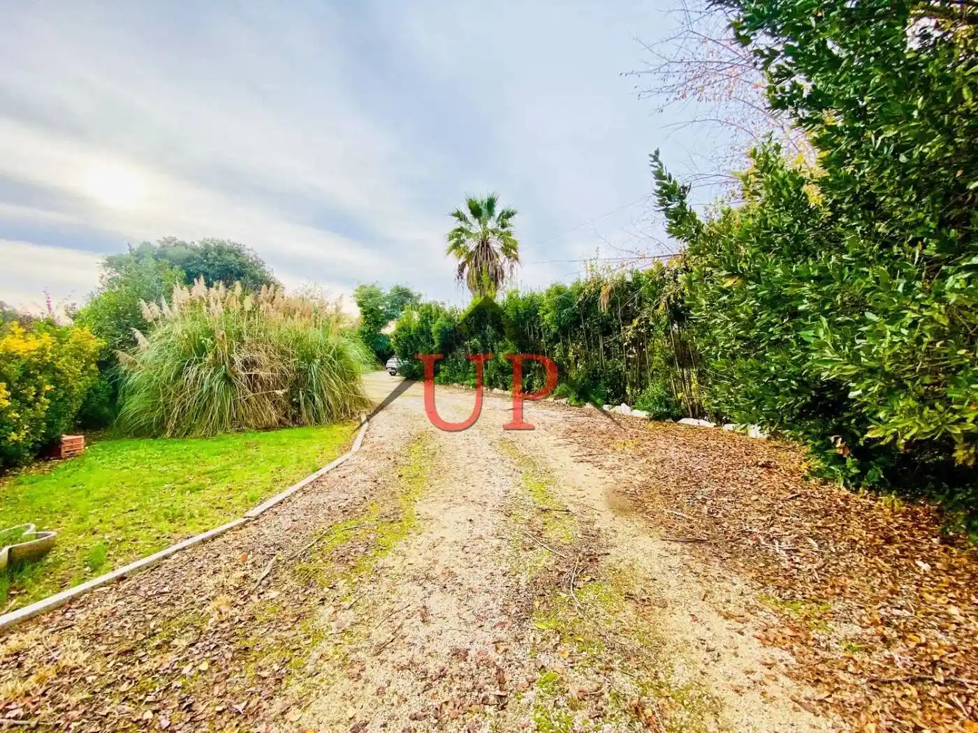 Villa unifamiliare Strada Zi Maria, 1774, Borgo Grappa, Latina - foto 3