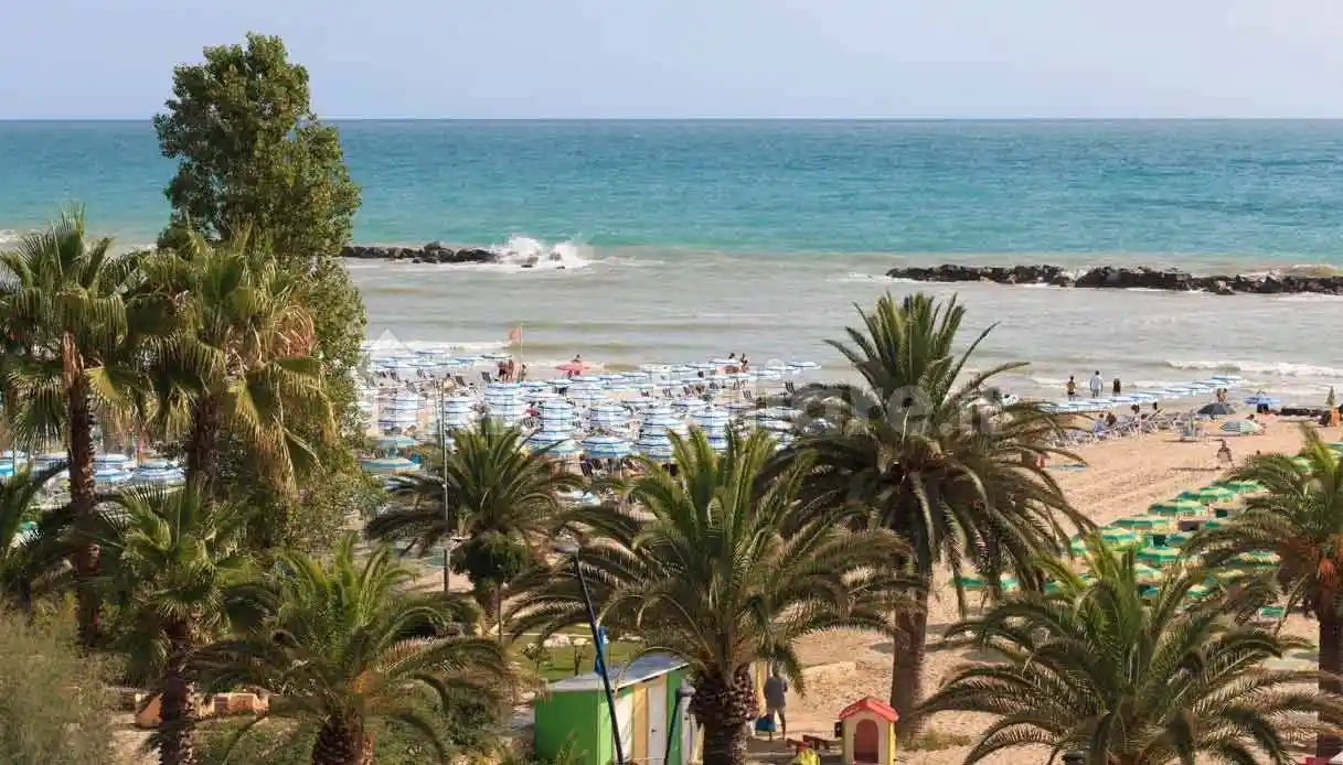 Appartamento in affitto a San Benedetto del Tronto
