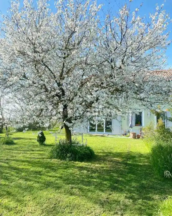 Terratetto unifamiliare via Provinciale, Casaglia, Ferrara - foto 2