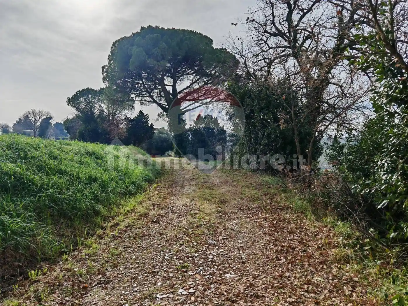 Rustico - Casale in vendita a Recanati