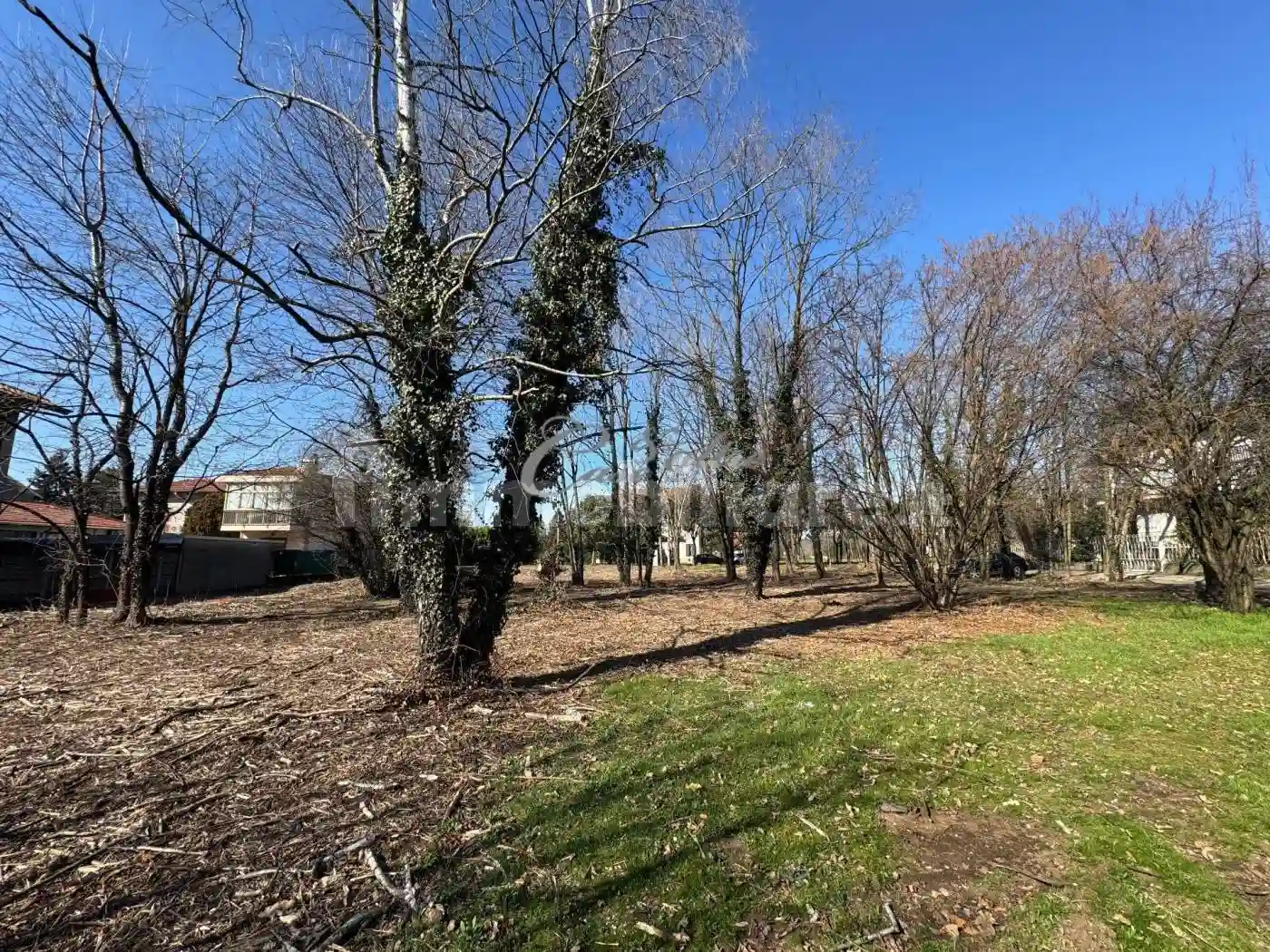 Palazzo - Edificio - foto 5