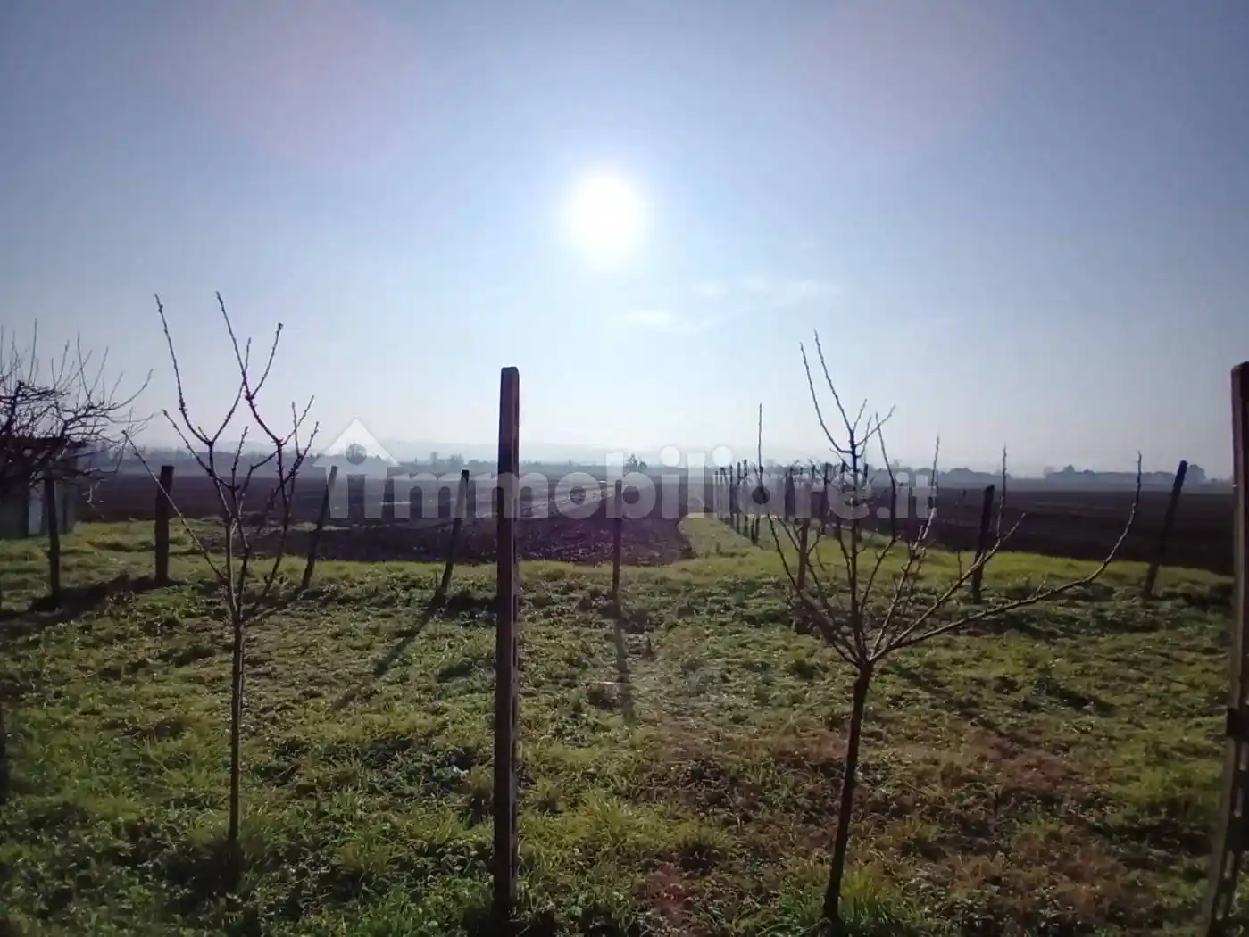 Terratetto unifamiliare Località Casonassi 6, Barbianello - foto 5