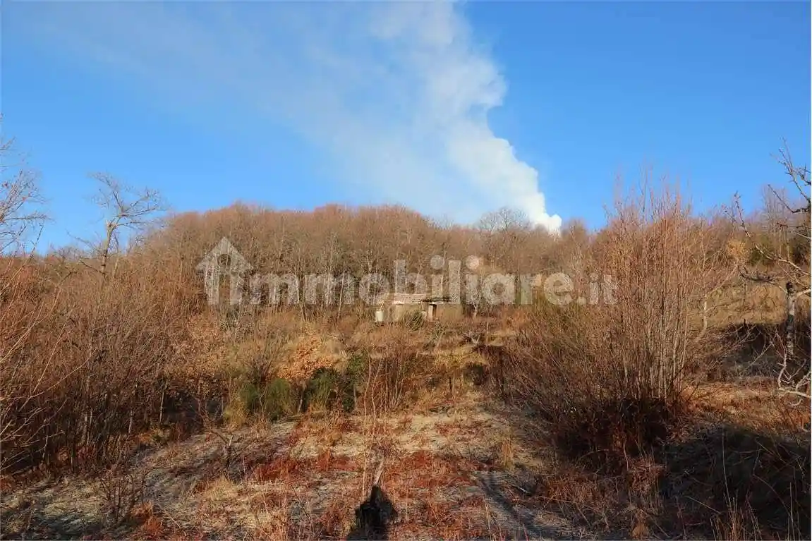 Rustico - Casale in vendita a Zafferana Etnea